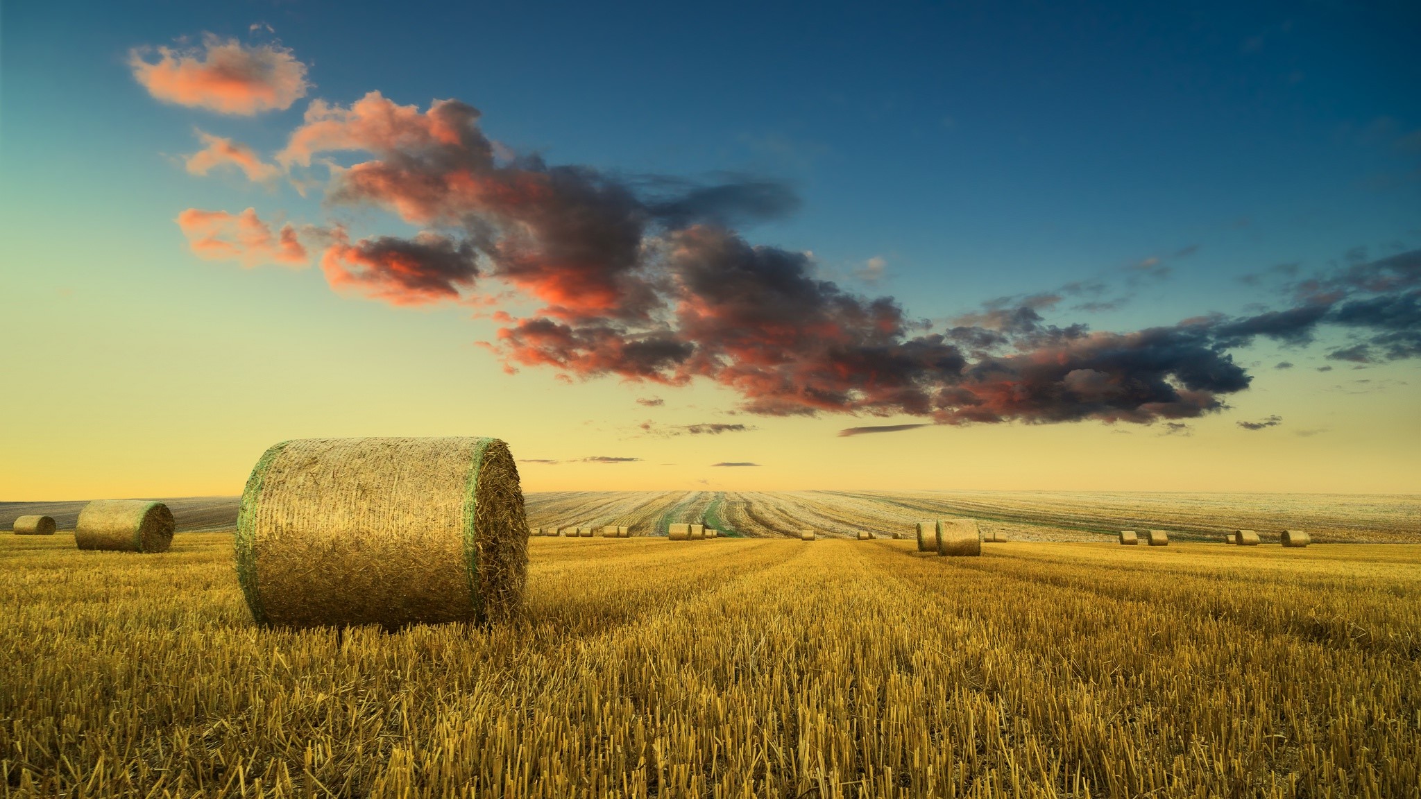 Hay bales in a harvested field at sunset HD Wallpaper