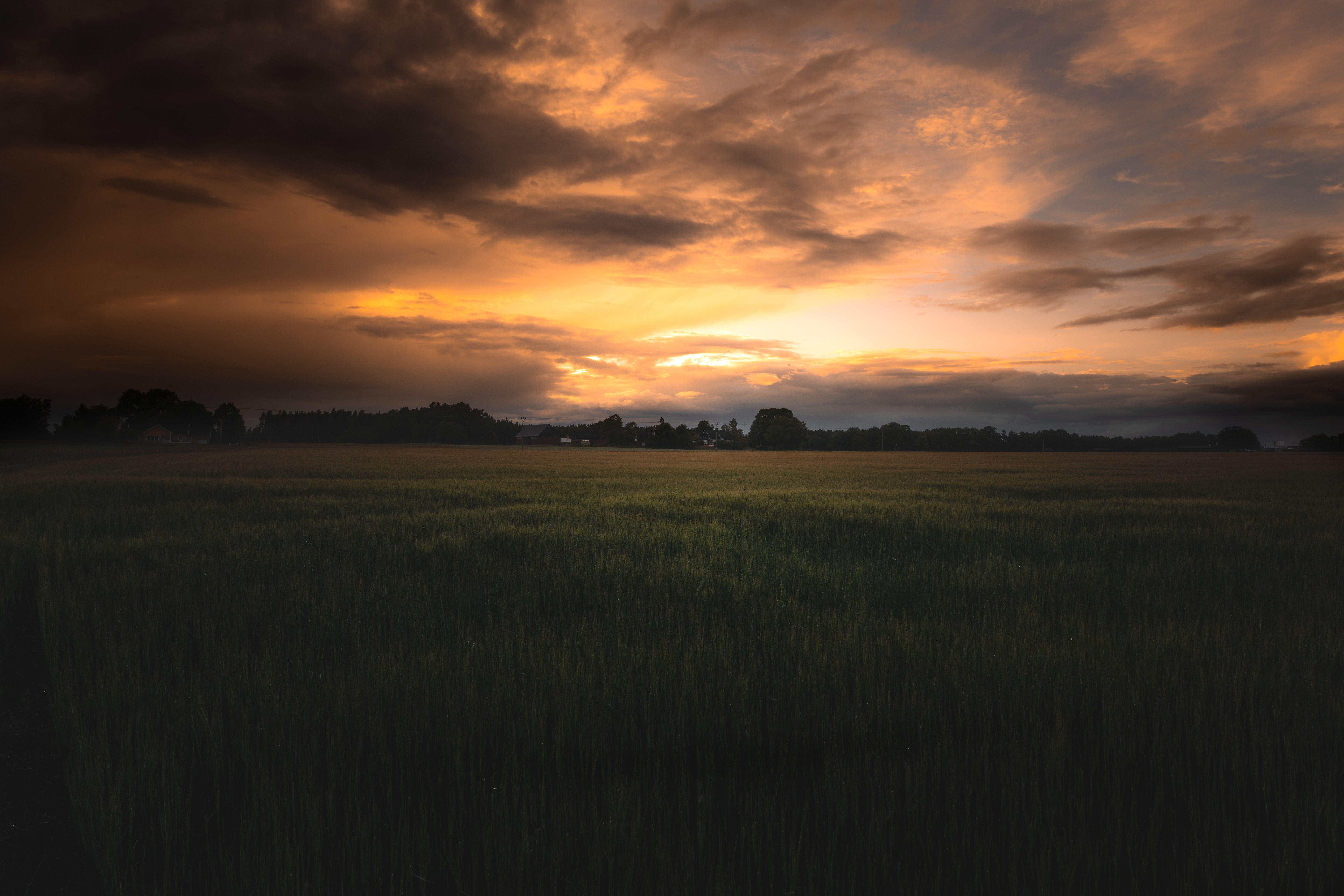 4K Landscape Field Sunset HD Wallpaper