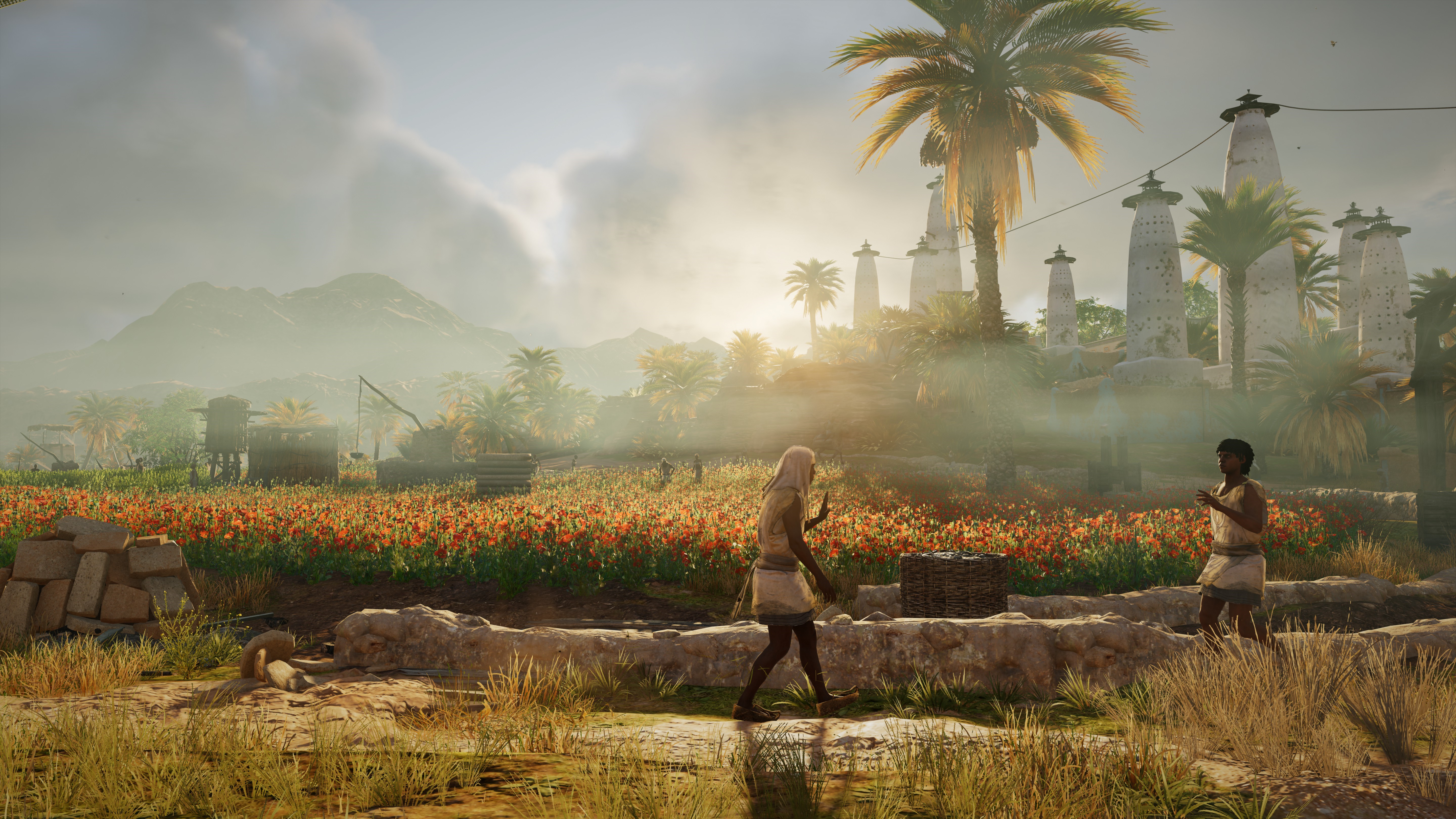 Bayek from Assassin's Creed Origins in a field HD Wallpaper