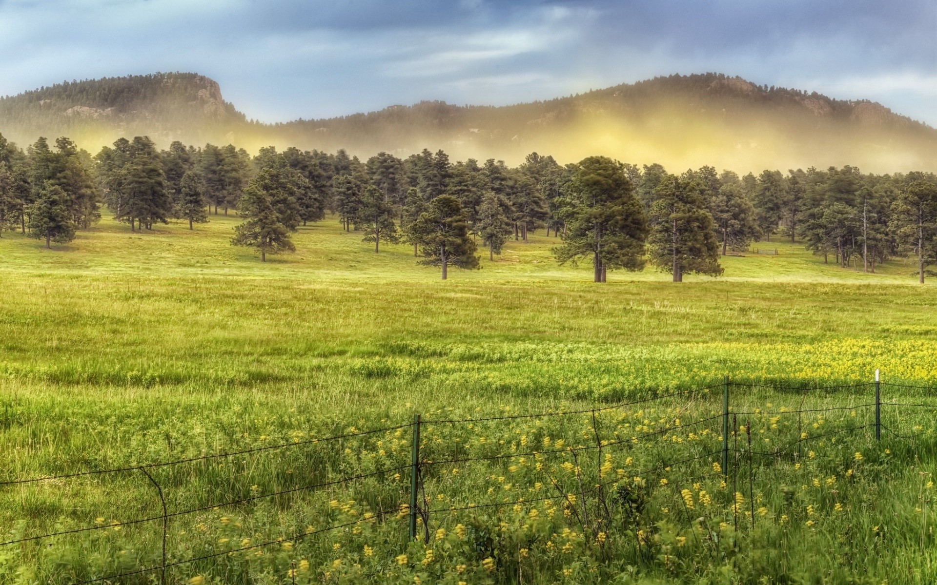 Green field with trees and mountains HD Wallpaper