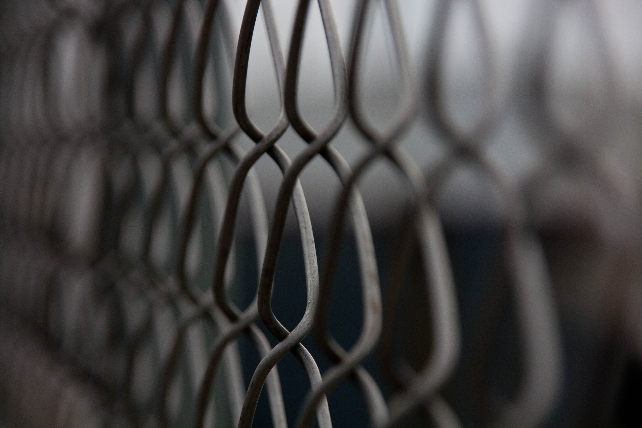 Close-up of a chain-link fence with shallow depth of field HD Wallpaper