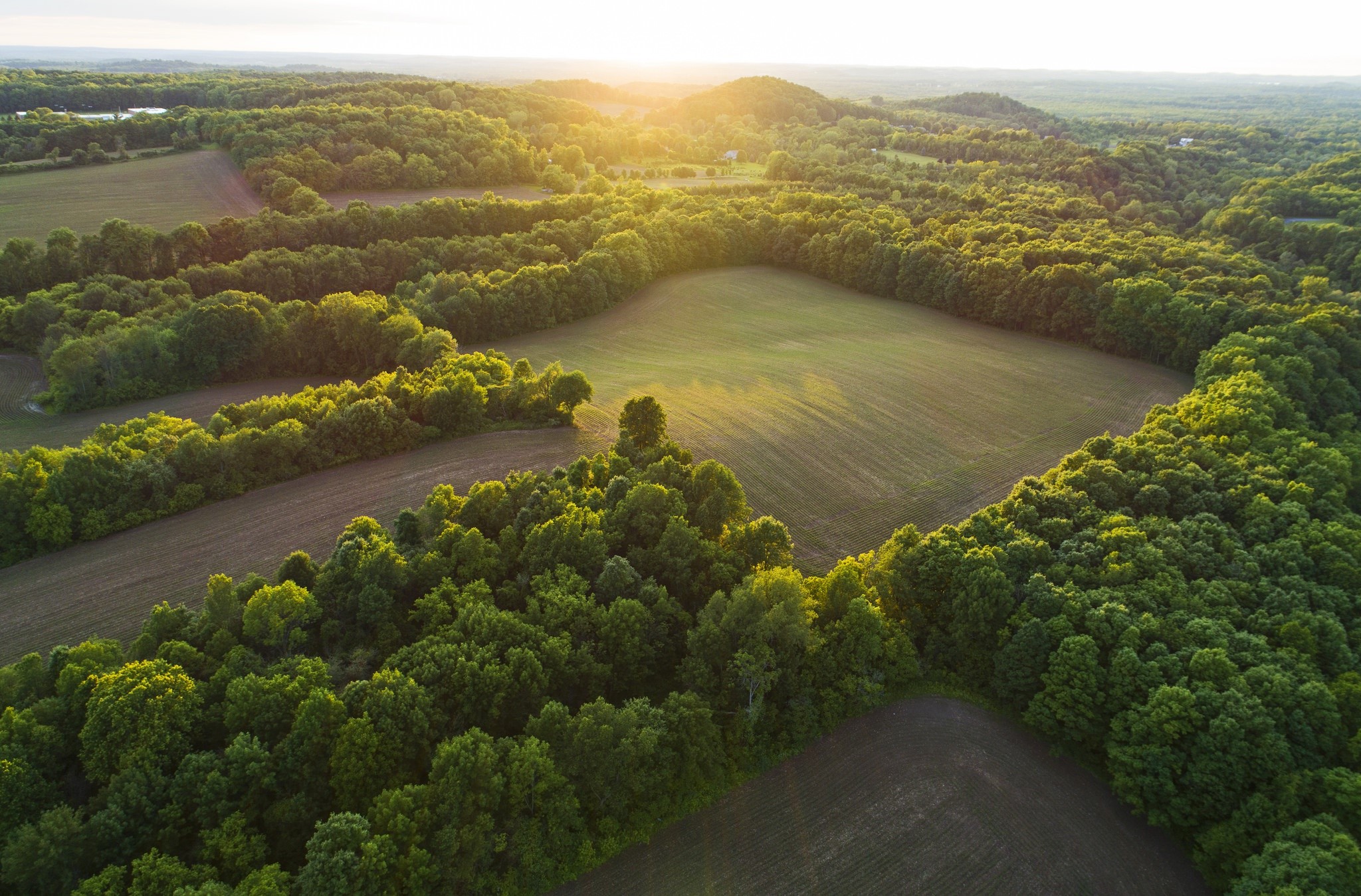 Aerial view of rolling hills with fields and trees at sunset HD Wallpaper