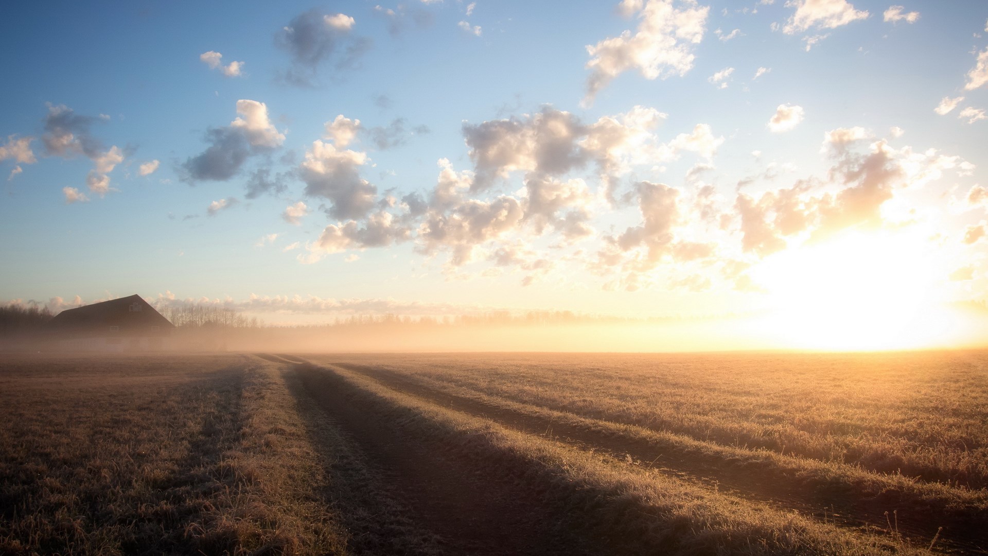 Sunrise over a misty field with a barn HD Wallpaper