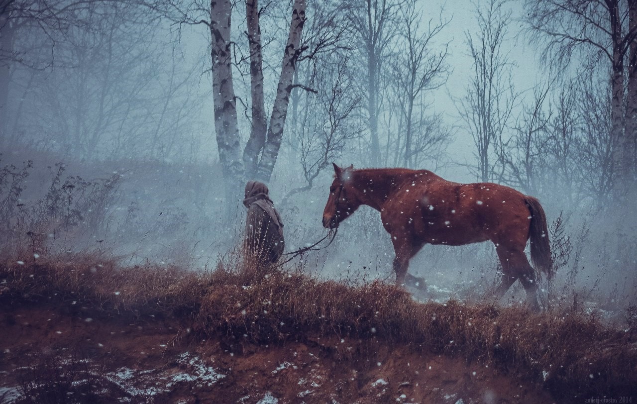 Person leading a horse through a snowy forest HD Wallpaper