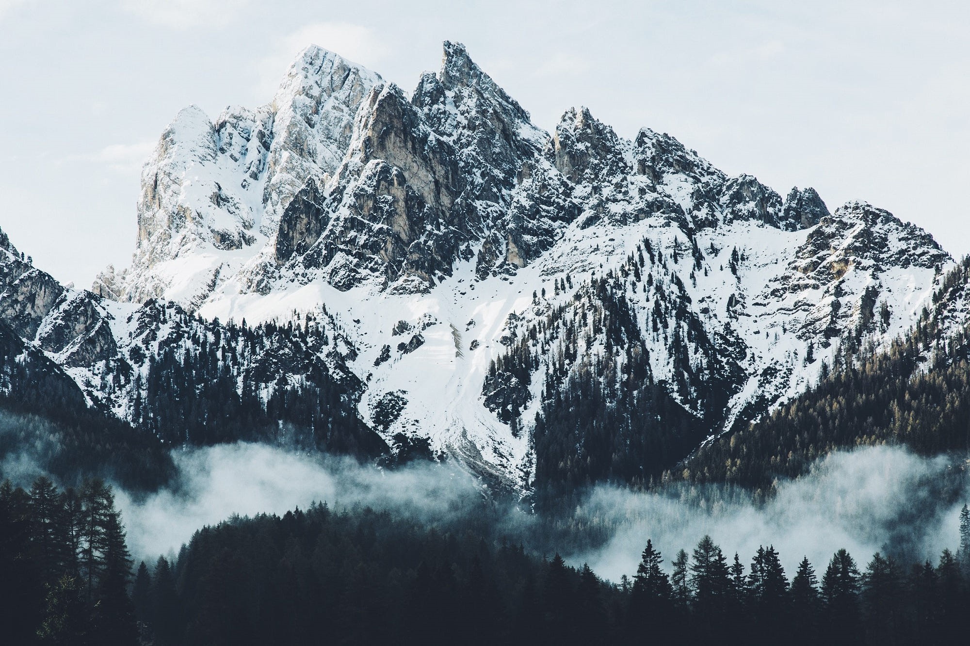 Snow-covered mountains with pine trees and fog HD Wallpaper