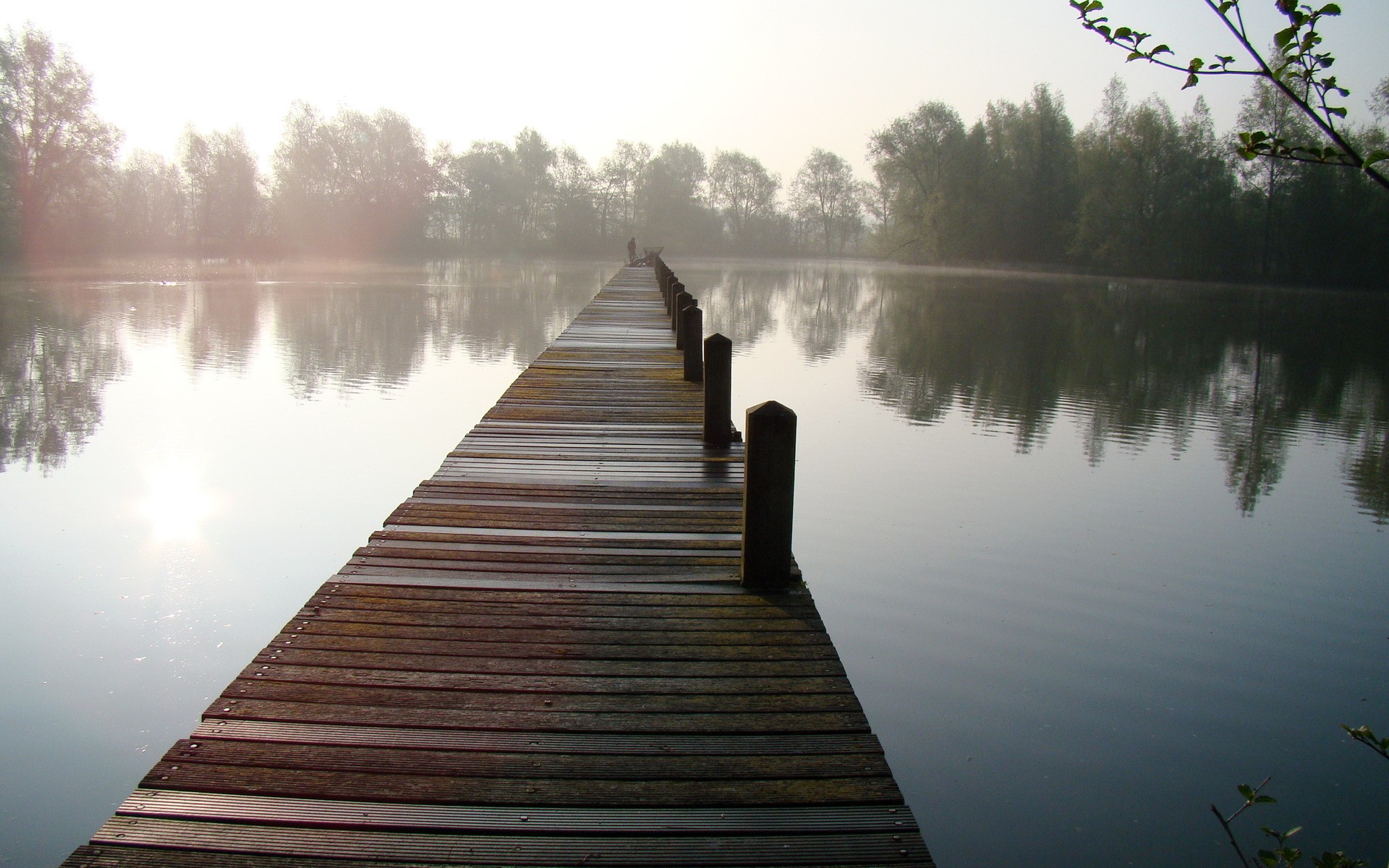 Wooden pier on a misty lake with trees reflected in the water HD Wallpaper