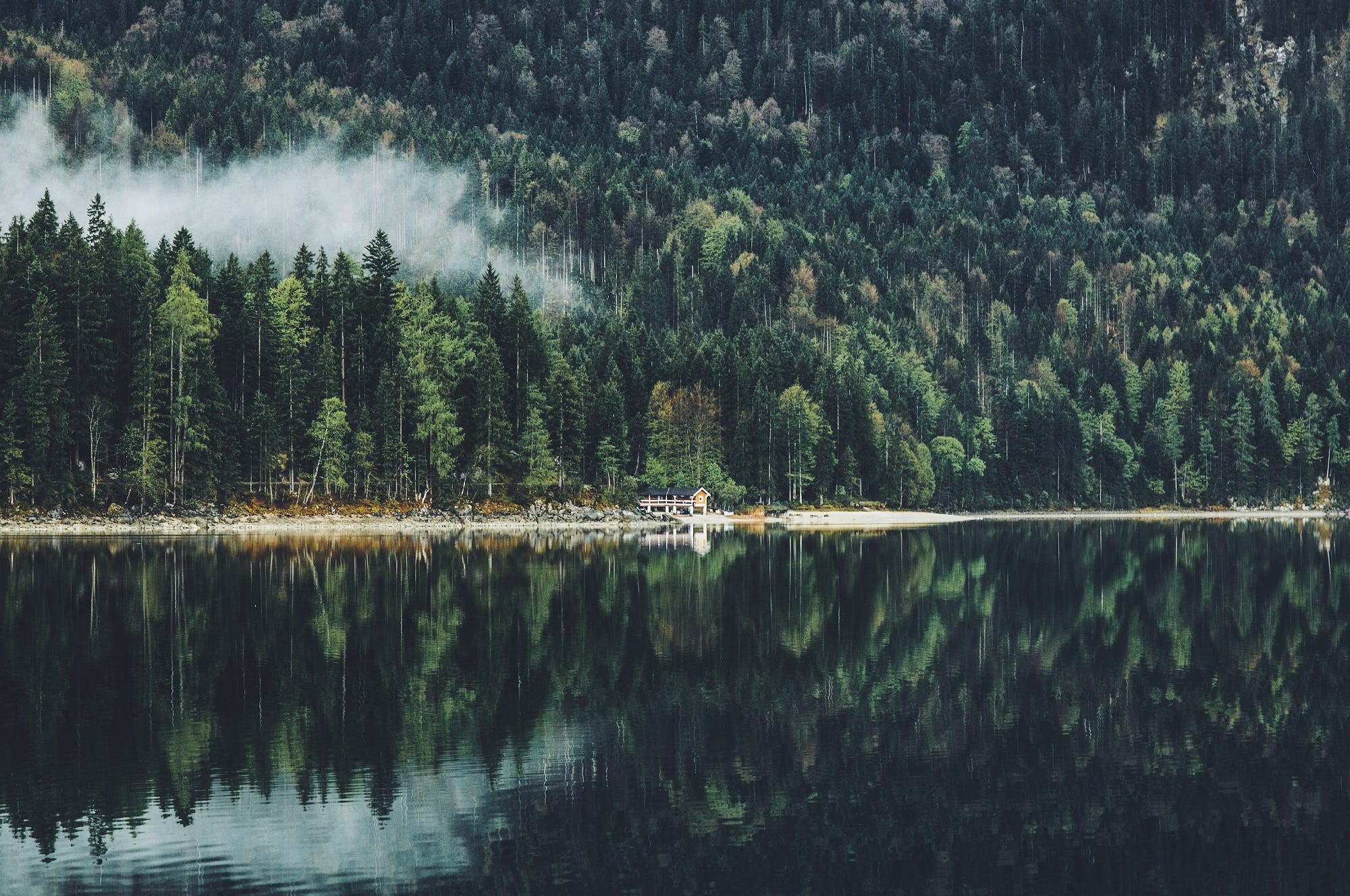 House by a lake with pine trees and reflection HD Wallpaper