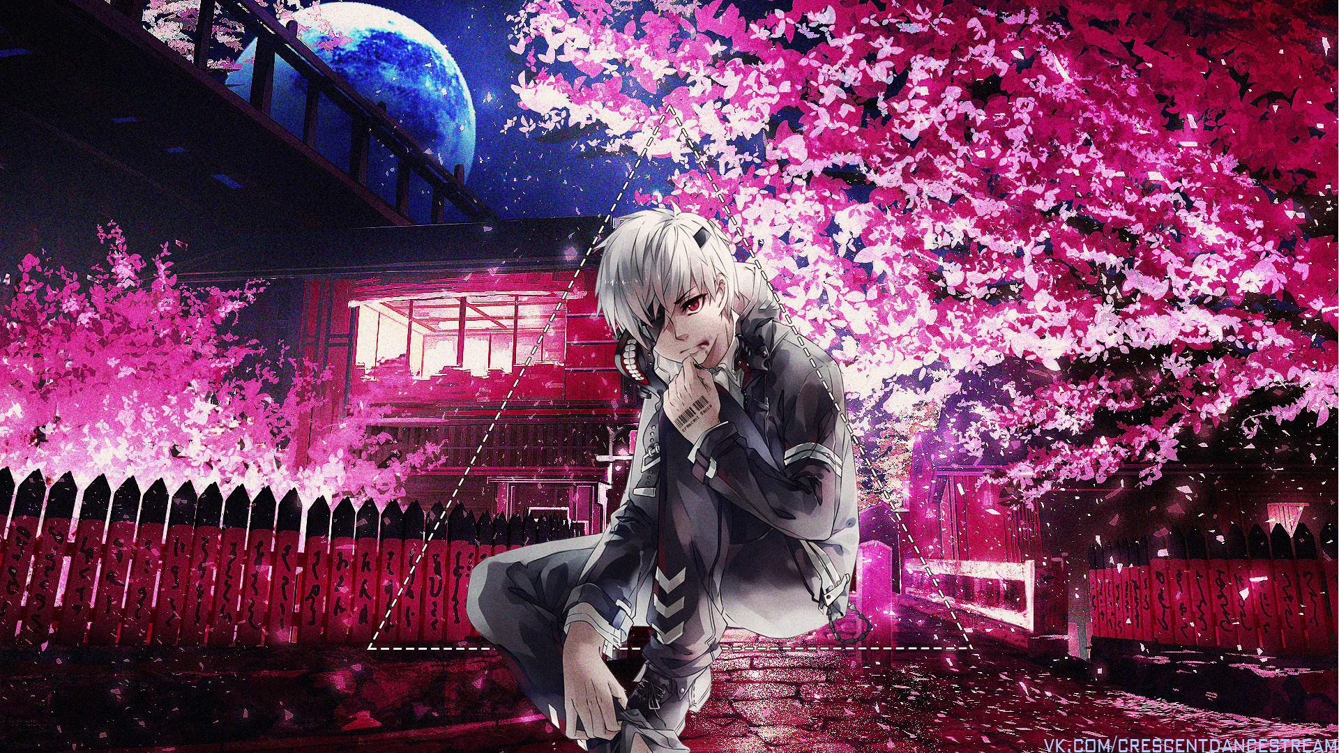 Kaneki Ken from Tokyo Ghoul with Cherry Blossoms HD Wallpaper