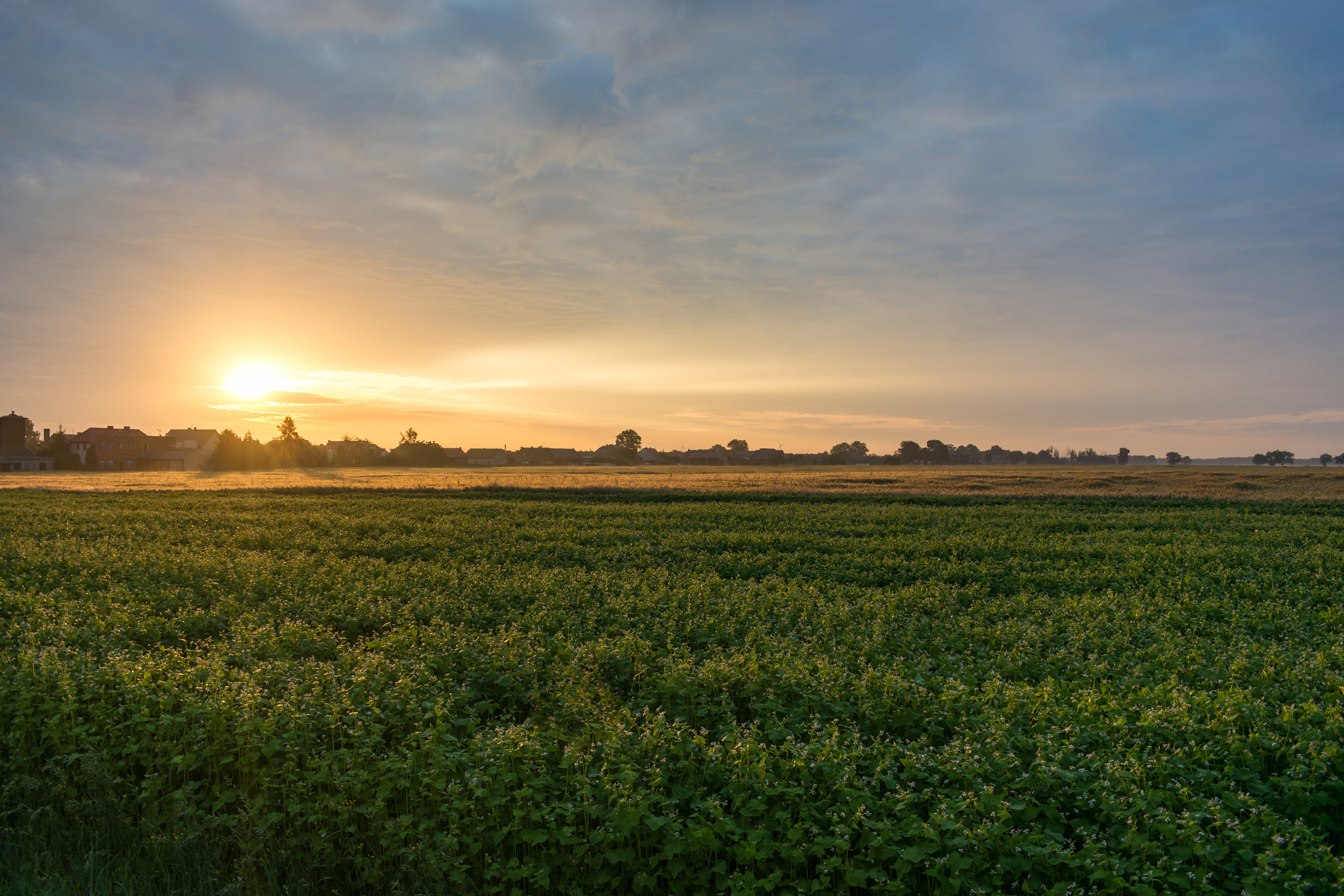 Sunrise over a village and field in Poland HD Wallpaper