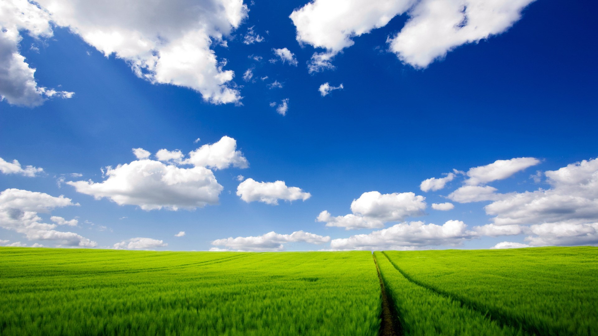 Green field under a blue sky with clouds HD Wallpaper