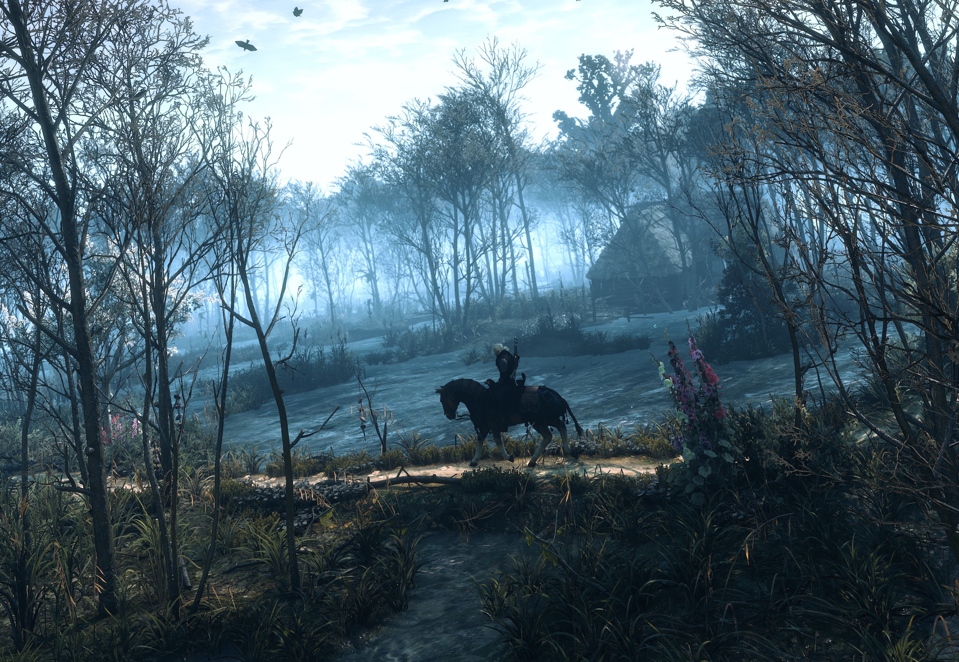 Geralt of Rivia from The Witcher 3: Wild Hunt HD Wallpaper