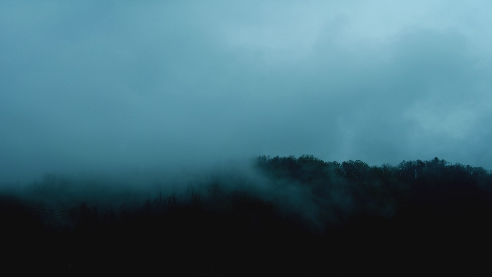 Misty forest on a dark morning HD Wallpaper