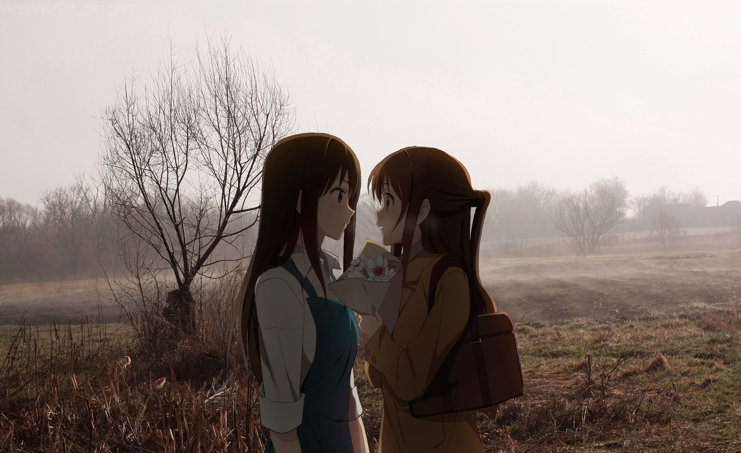 Two anime girls in a misty field HD Wallpaper
