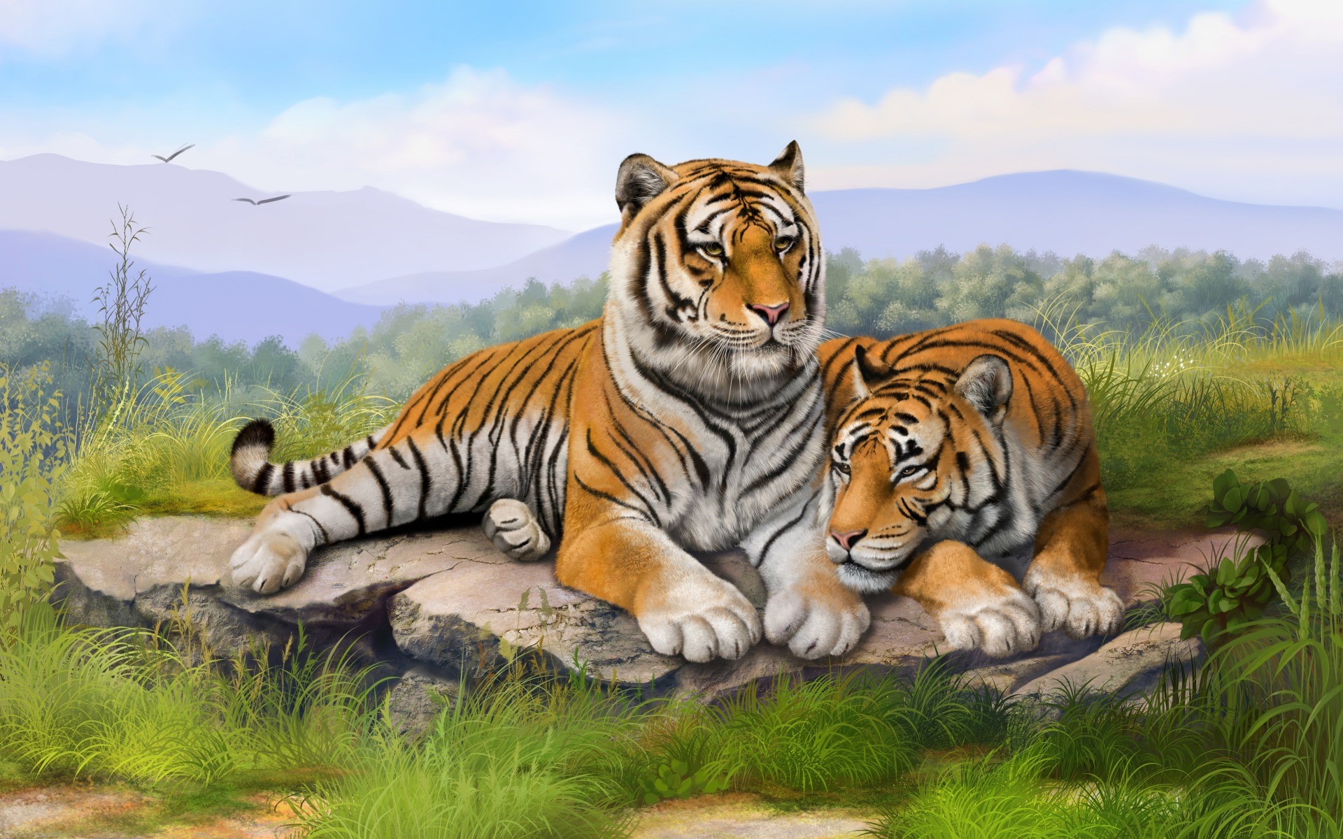 Two Bengal tigers resting on rocks in a landscape HD Wallpaper