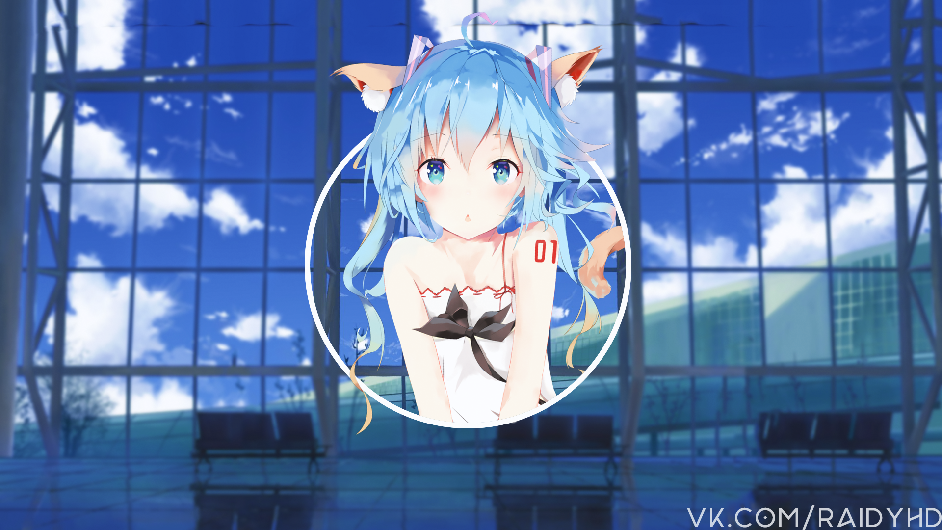Anime girl with blue hair and cat ears HD Wallpaper