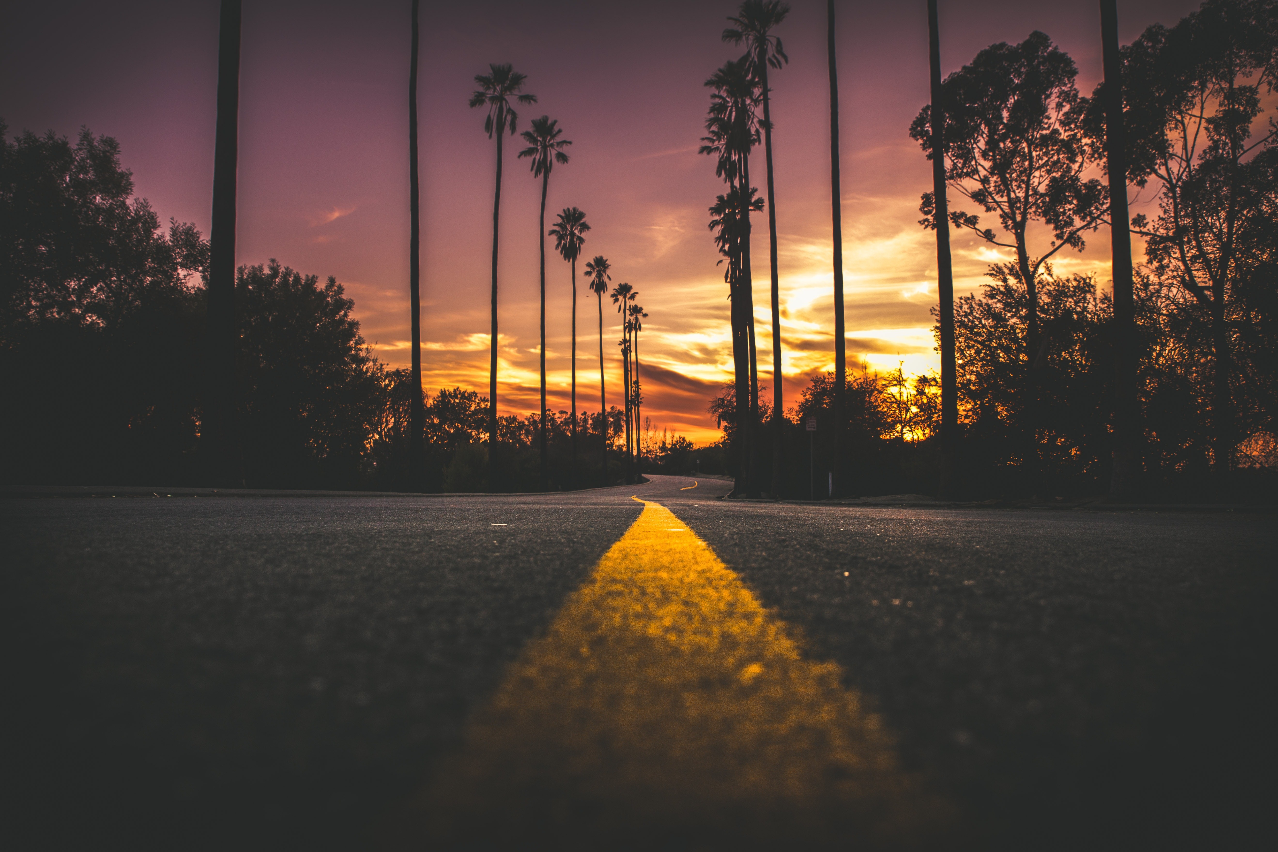 Road with yellow line and palm trees at sunset HD Wallpaper