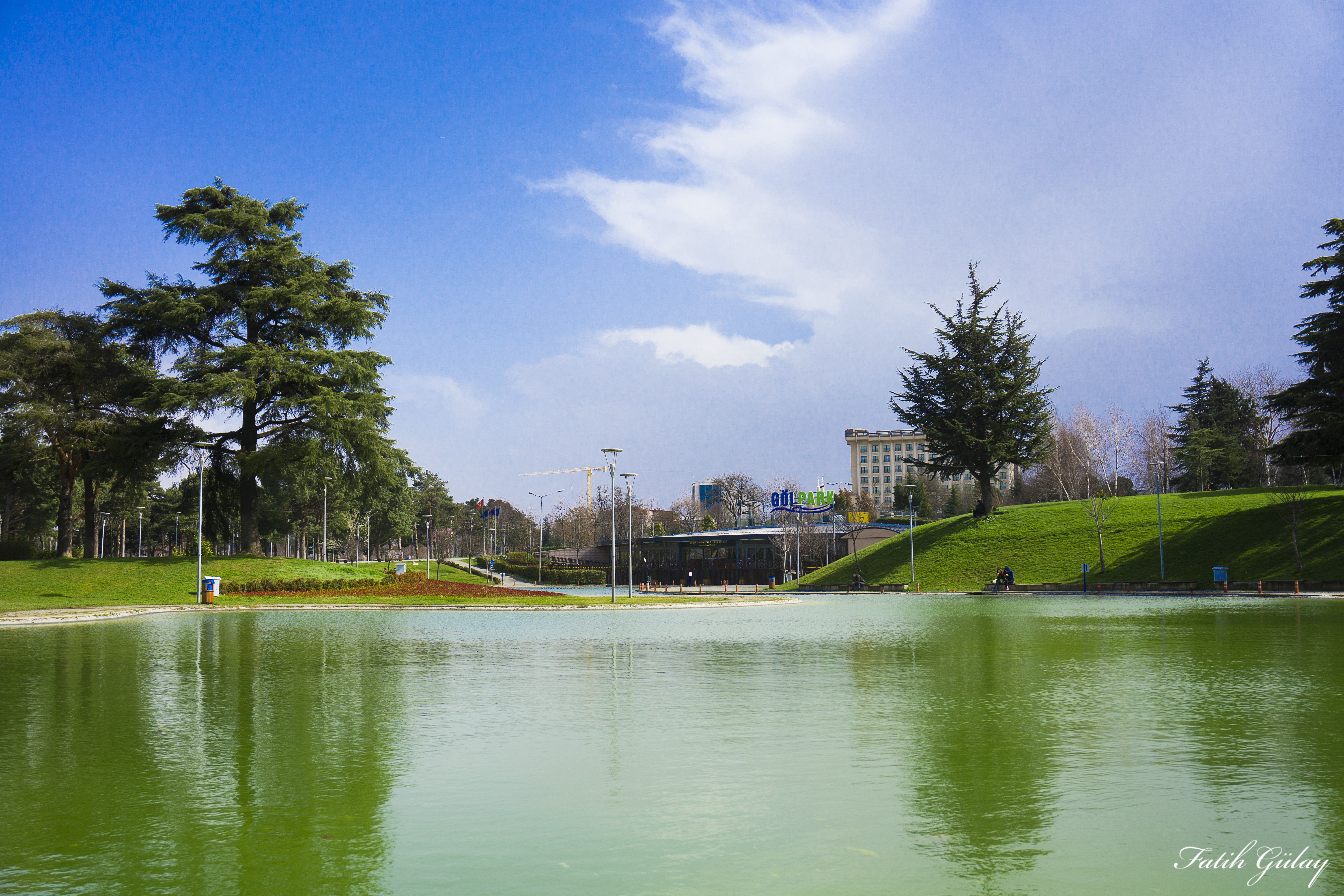 Lake and park with trees and buildings HD Wallpaper