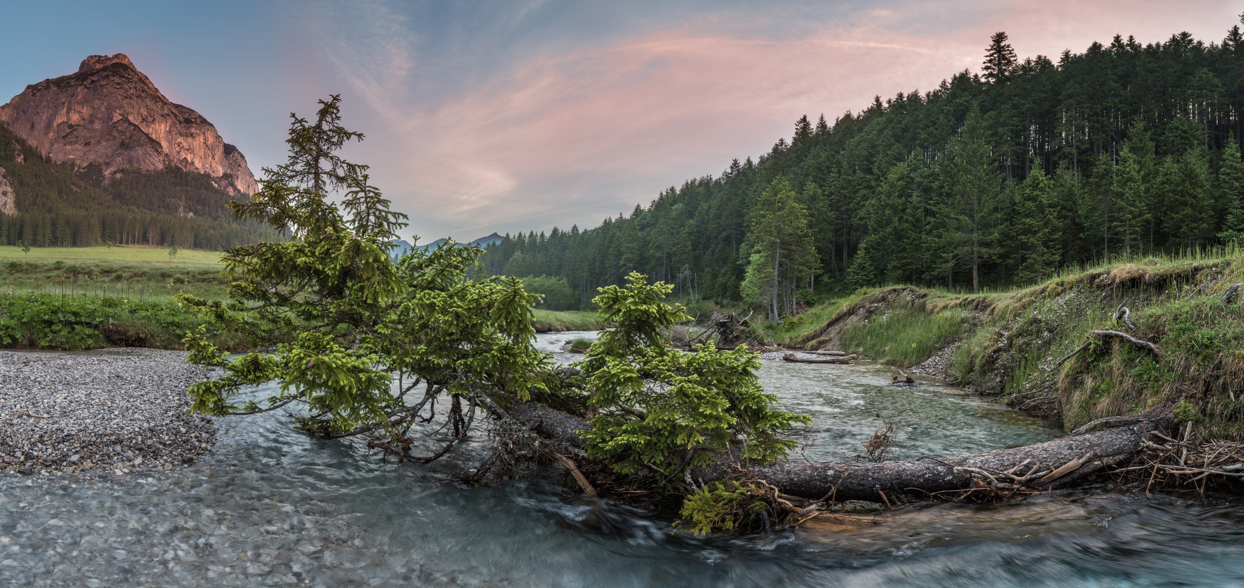 River flowing through a forest with a mountain in the background HD Wallpaper