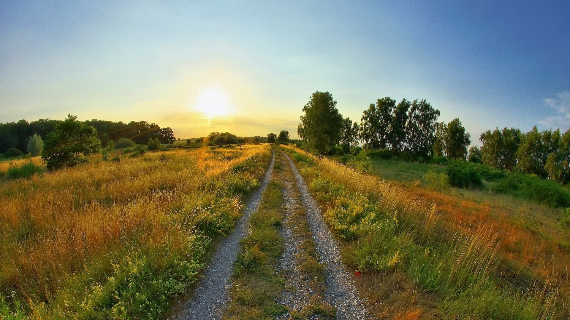 Dirt road through a field at sunset HD Wallpaper
