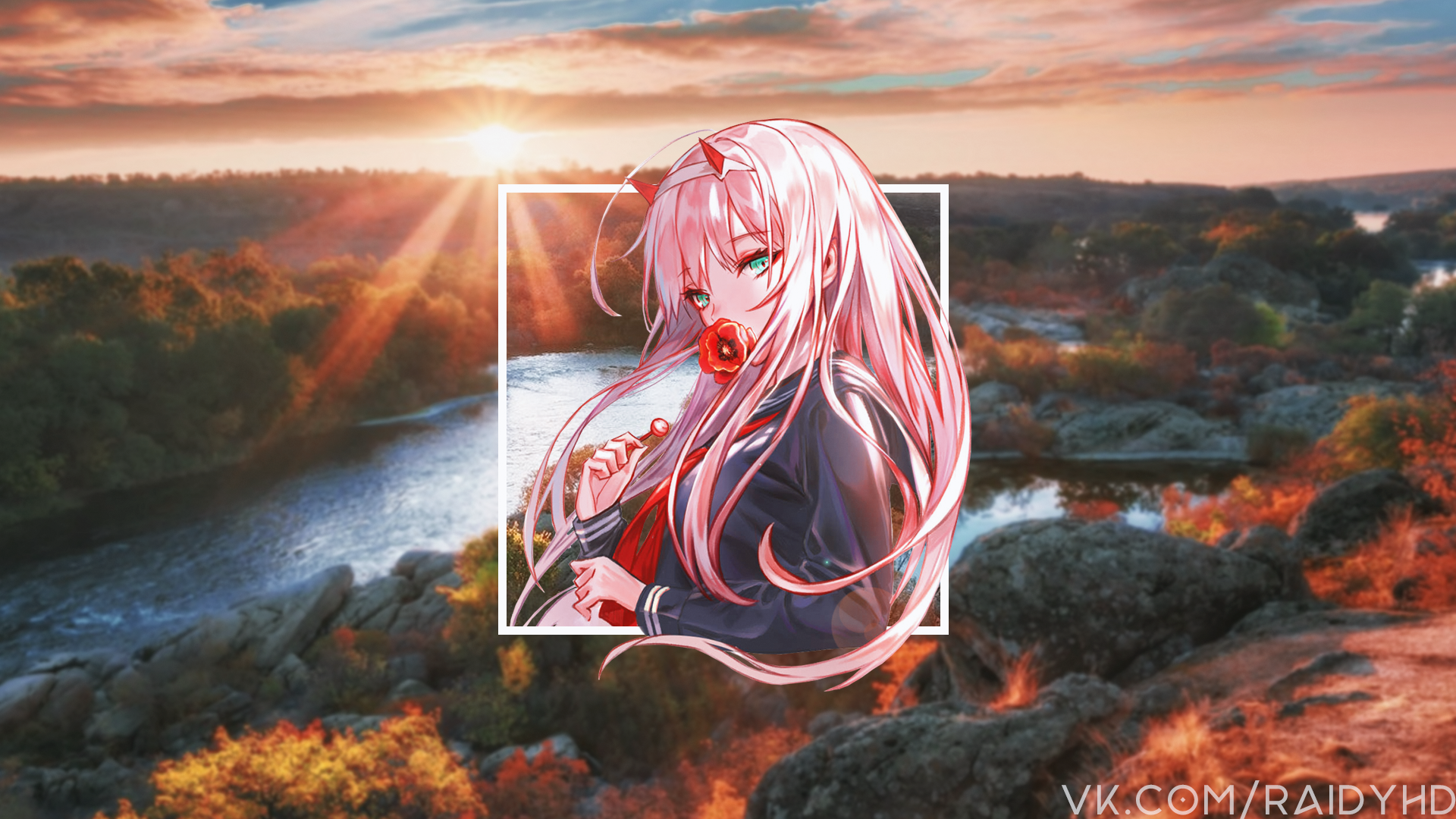 Zero Two from Darling in the FranXX with lollipop HD Wallpaper