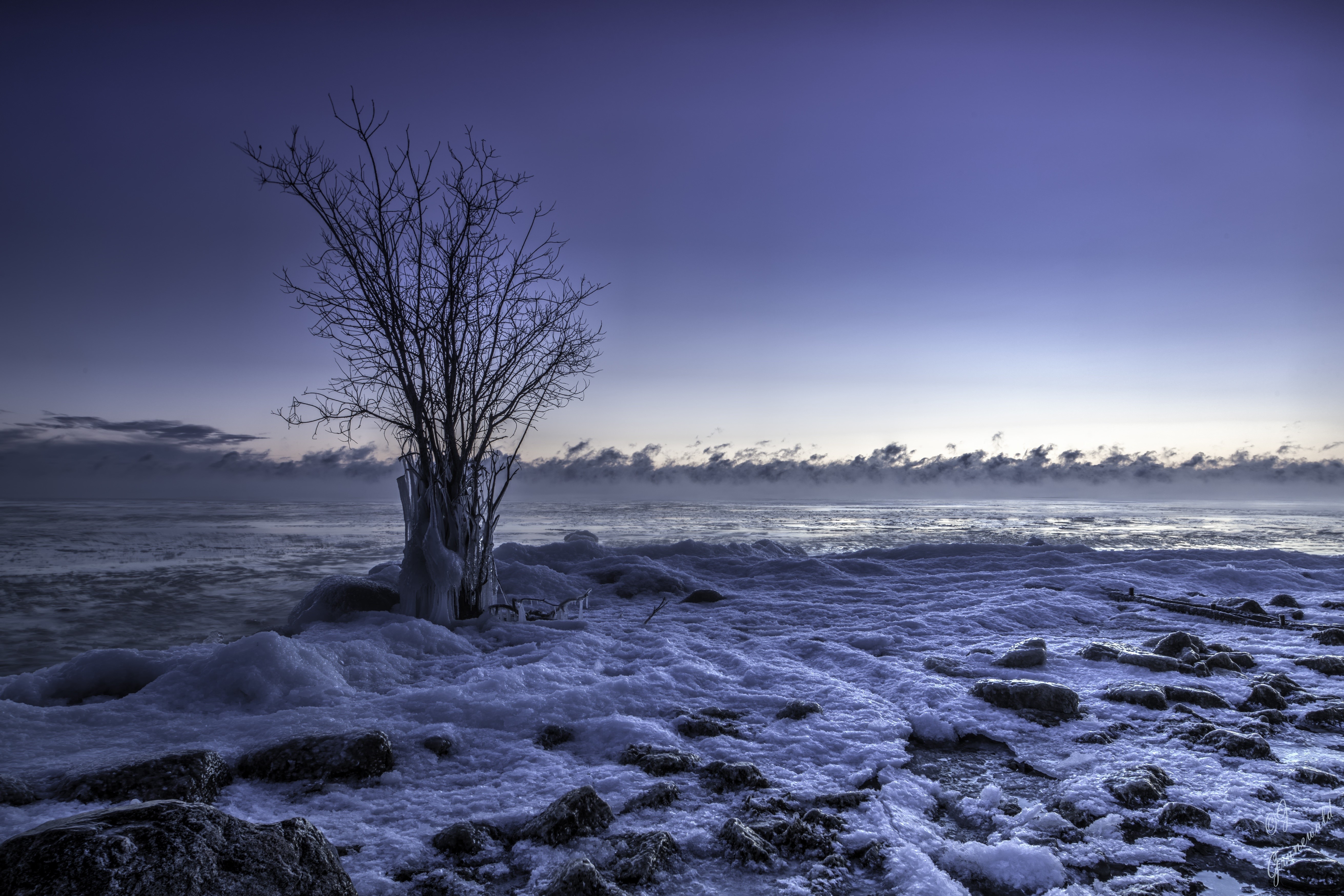 Winter landscape with icy tree and frozen lake HD Wallpaper