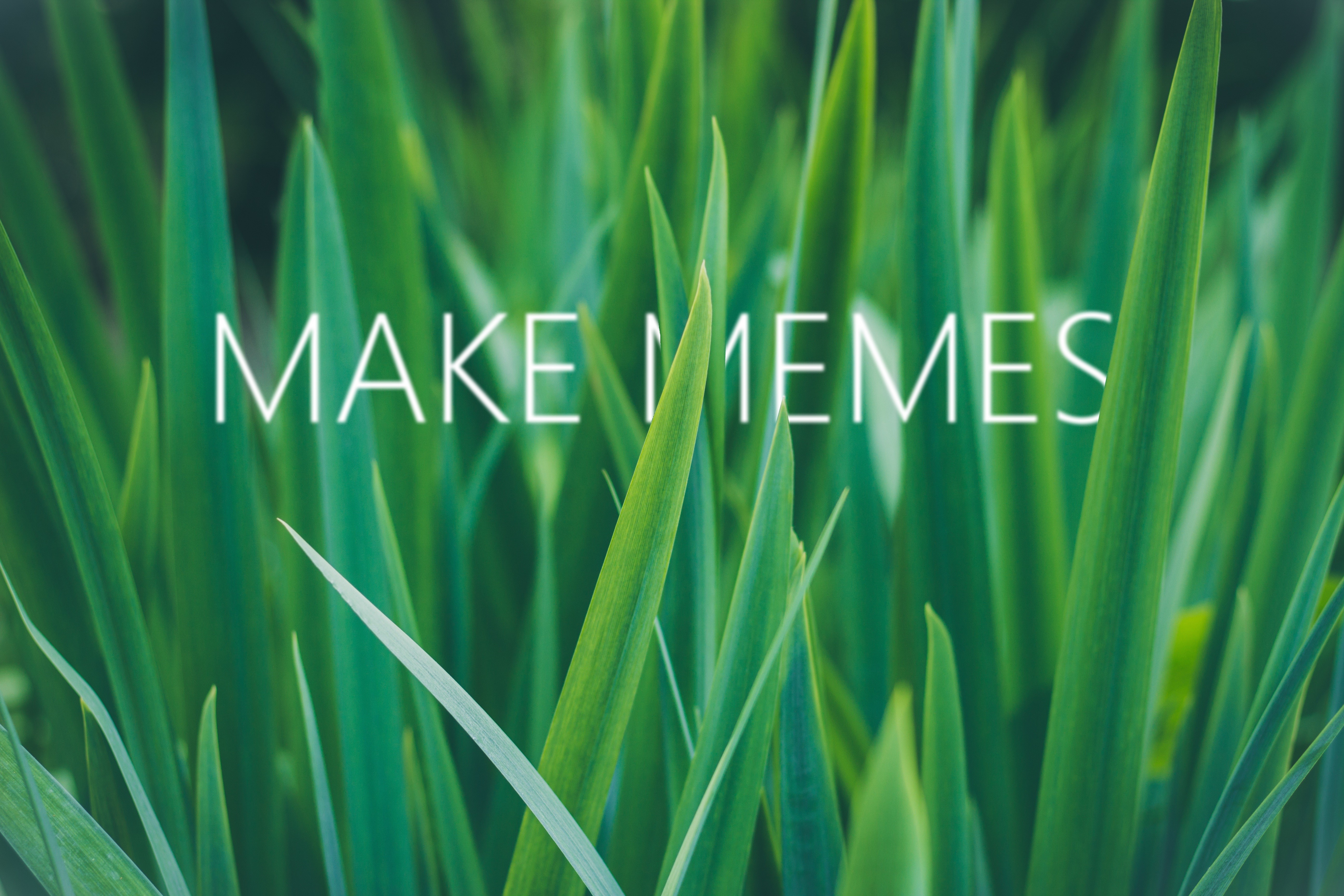 MAKE MEMES text on green grass HD Wallpaper