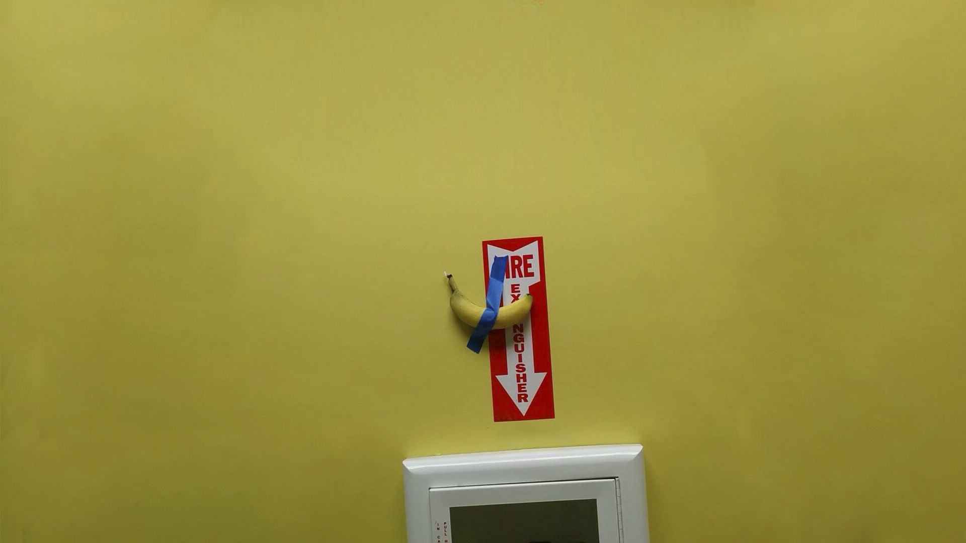 Banana taped to fire extinguisher sign HD Wallpaper