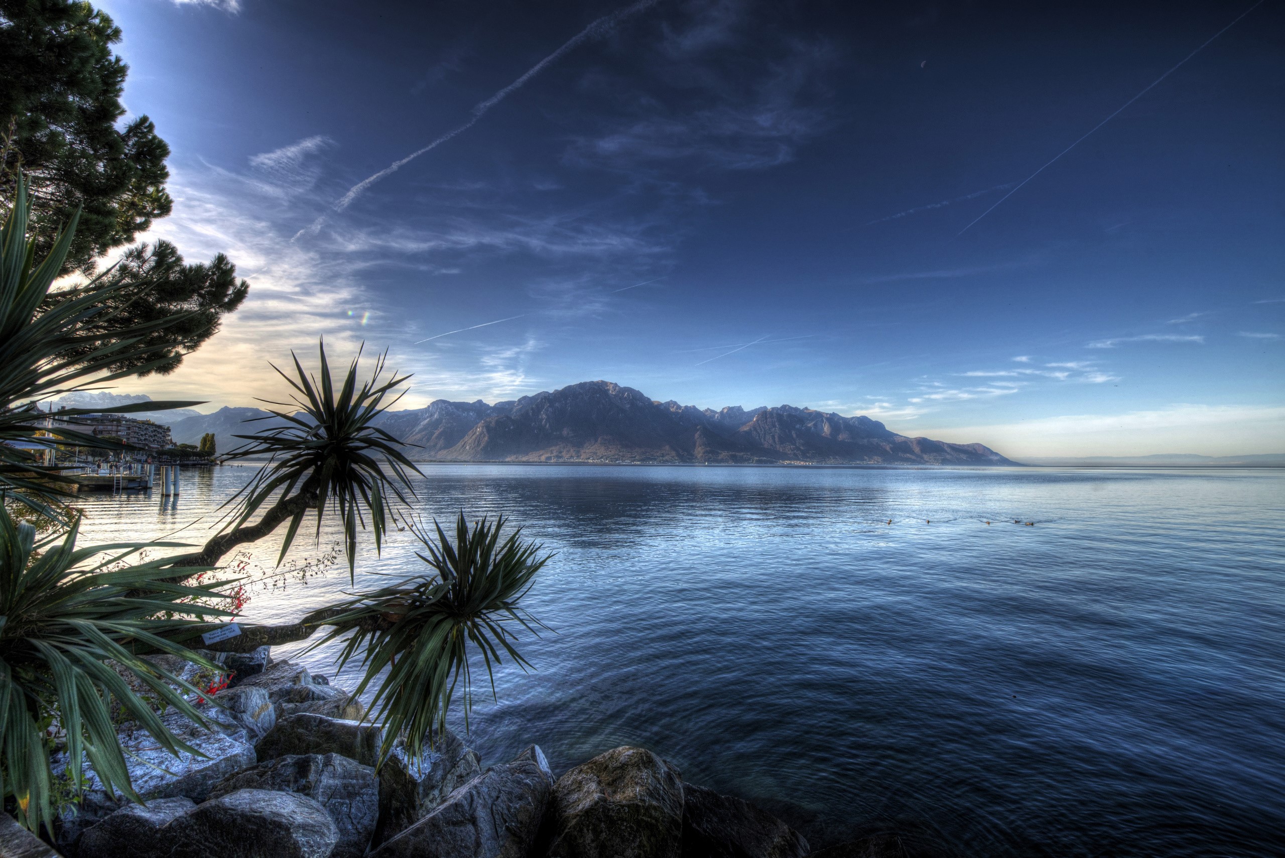 Lake and mountains with palm trees in foreground HD Wallpaper