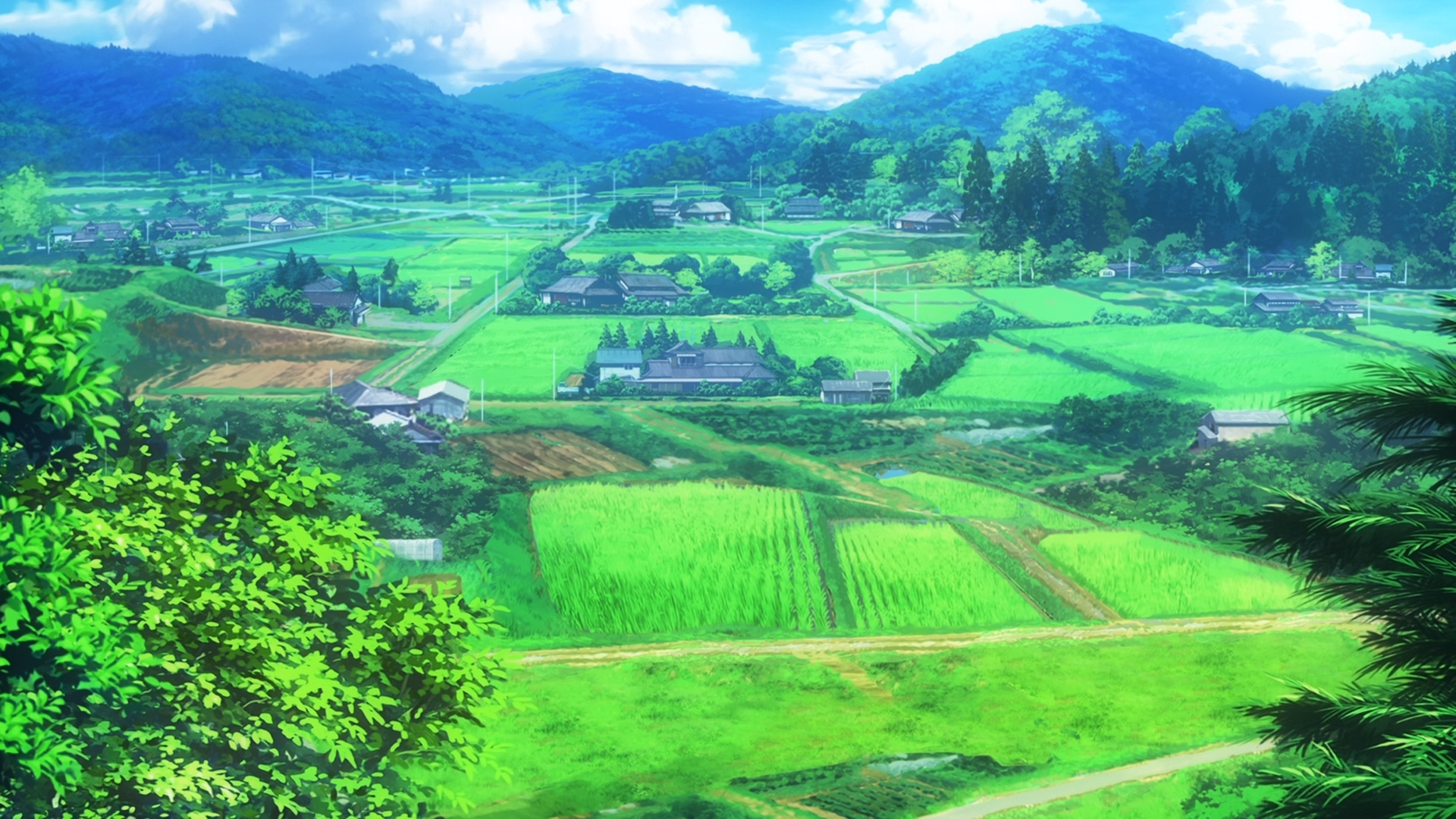 Rural landscape with rice paddies and houses HD Wallpaper