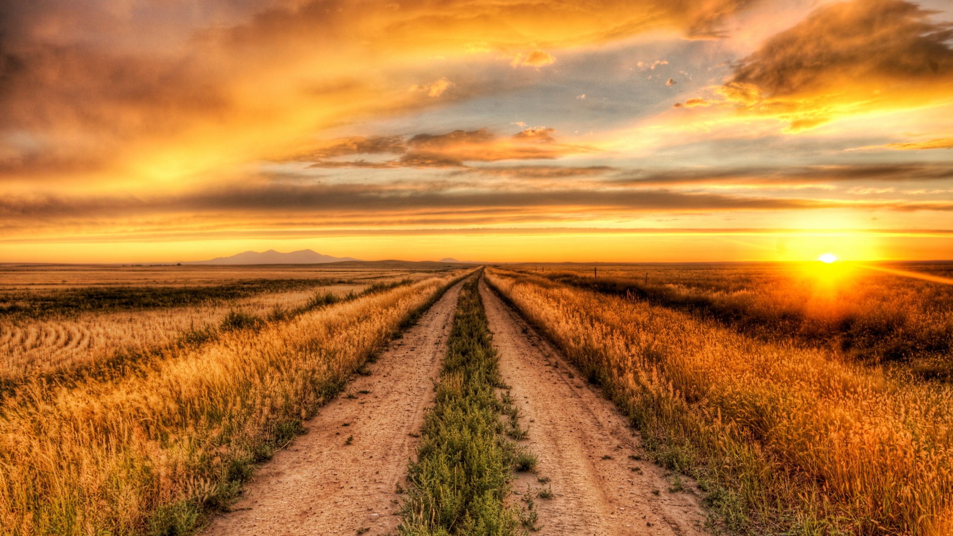 Dirt road through a field at sunset HD Wallpaper