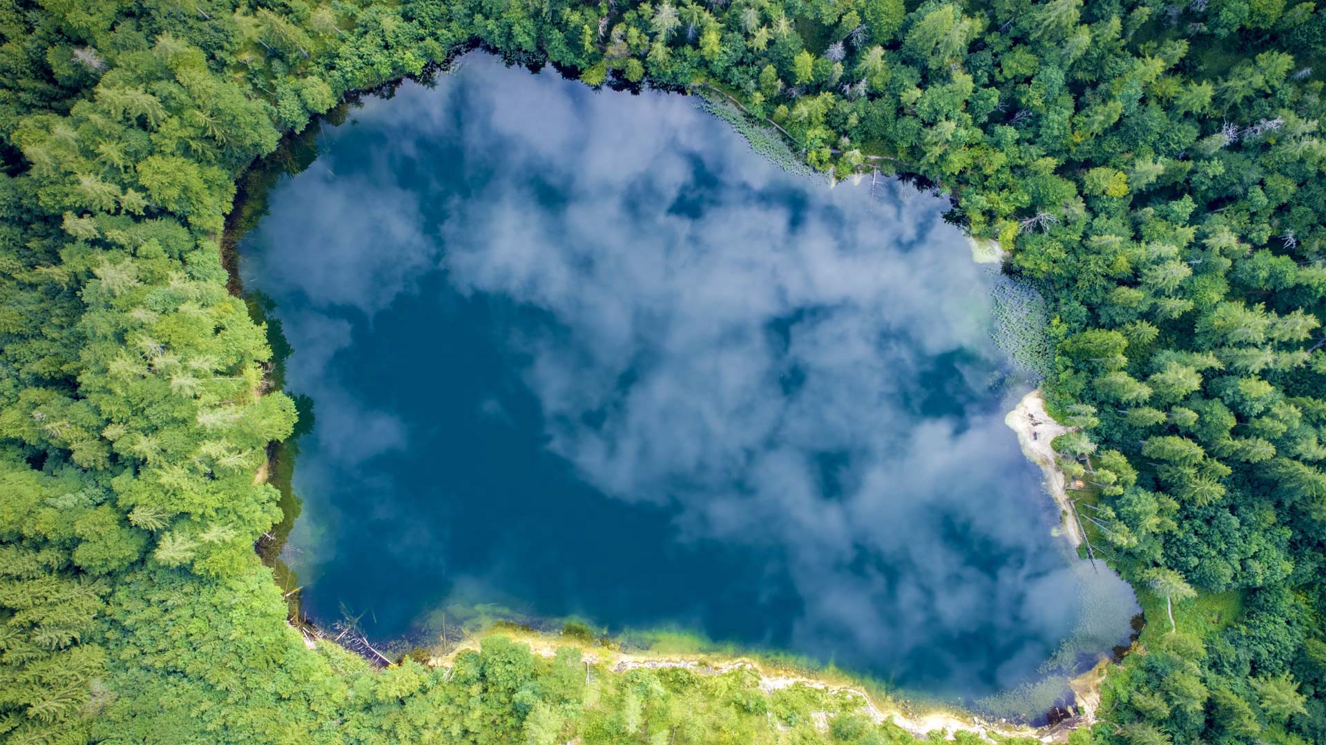 Aerial view of a lake surrounded by a forest in Austria HD Wallpaper