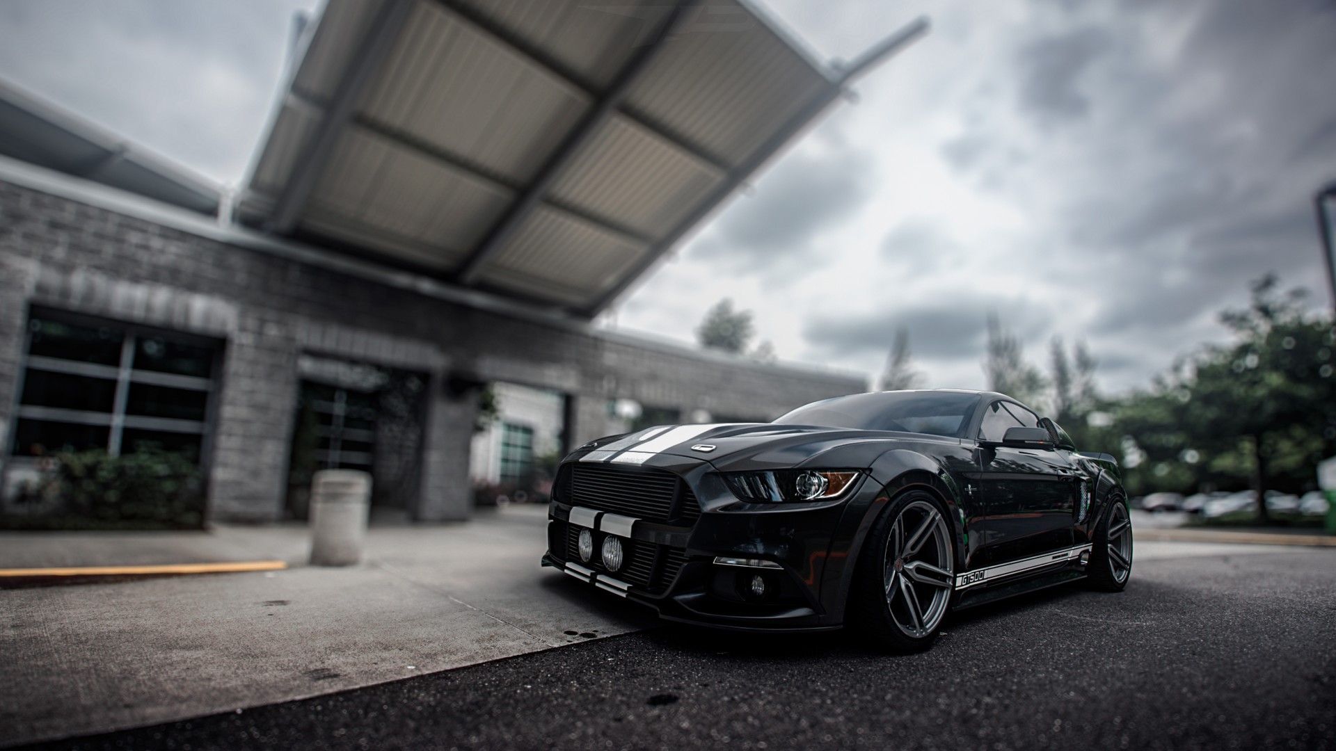 Black Ford Mustang GT with white stripes HD Wallpaper