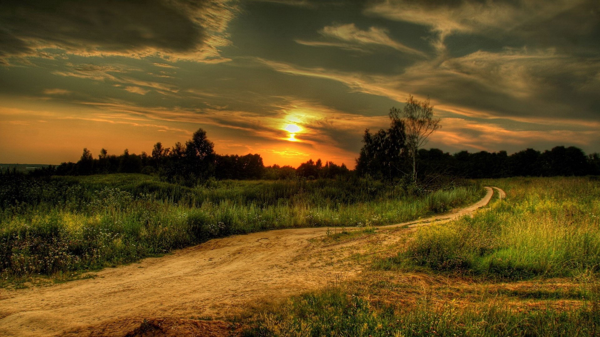 Dirt road through a field at sunset HD Wallpaper