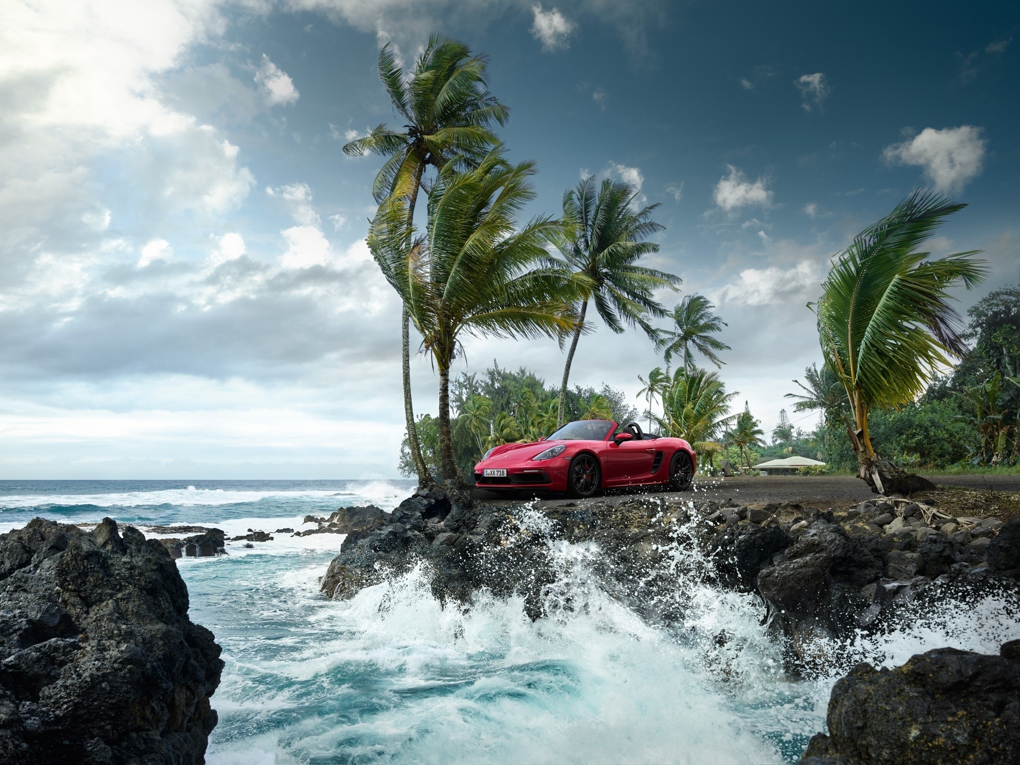 Red Porsche Boxster on rocky coast with palm trees HD Wallpaper