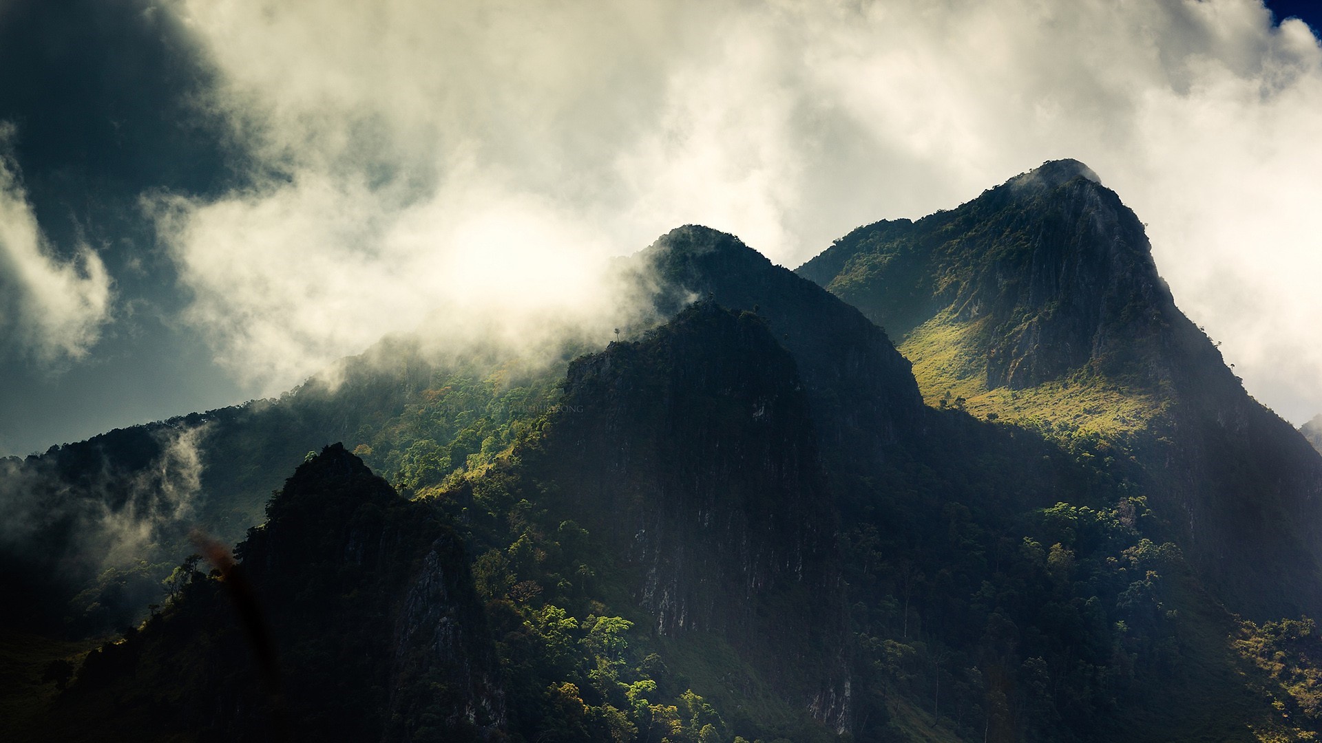 Misty mountains with green forests and dramatic clouds HD Wallpaper