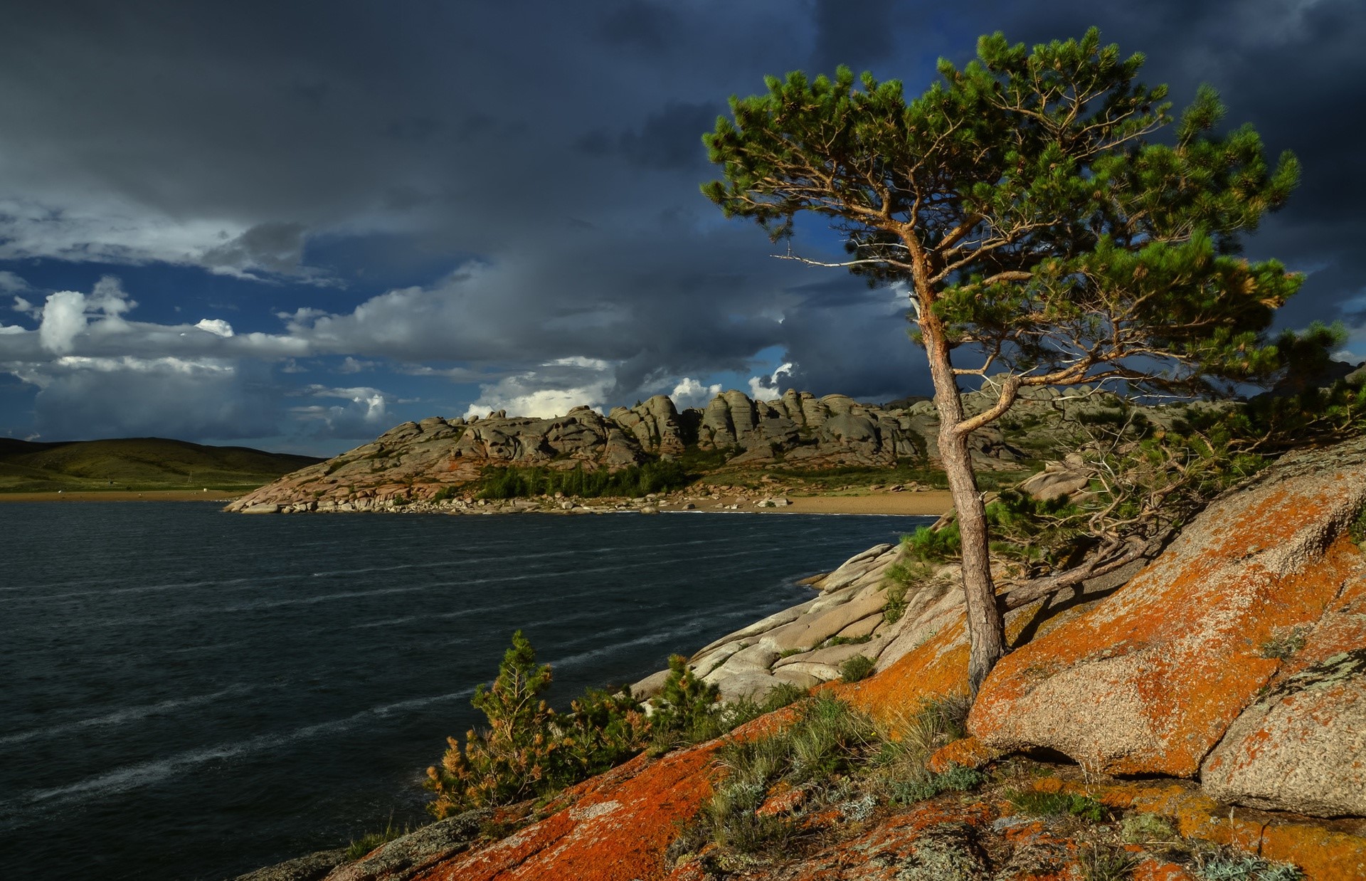 Pine tree on rocky shore overlooking lake in Kazakhstan HD Wallpaper