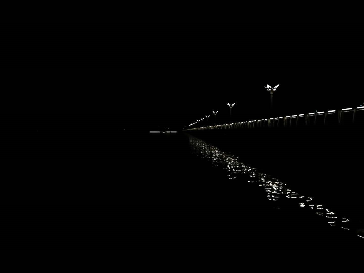 Street lights reflecting on water at night HD Wallpaper