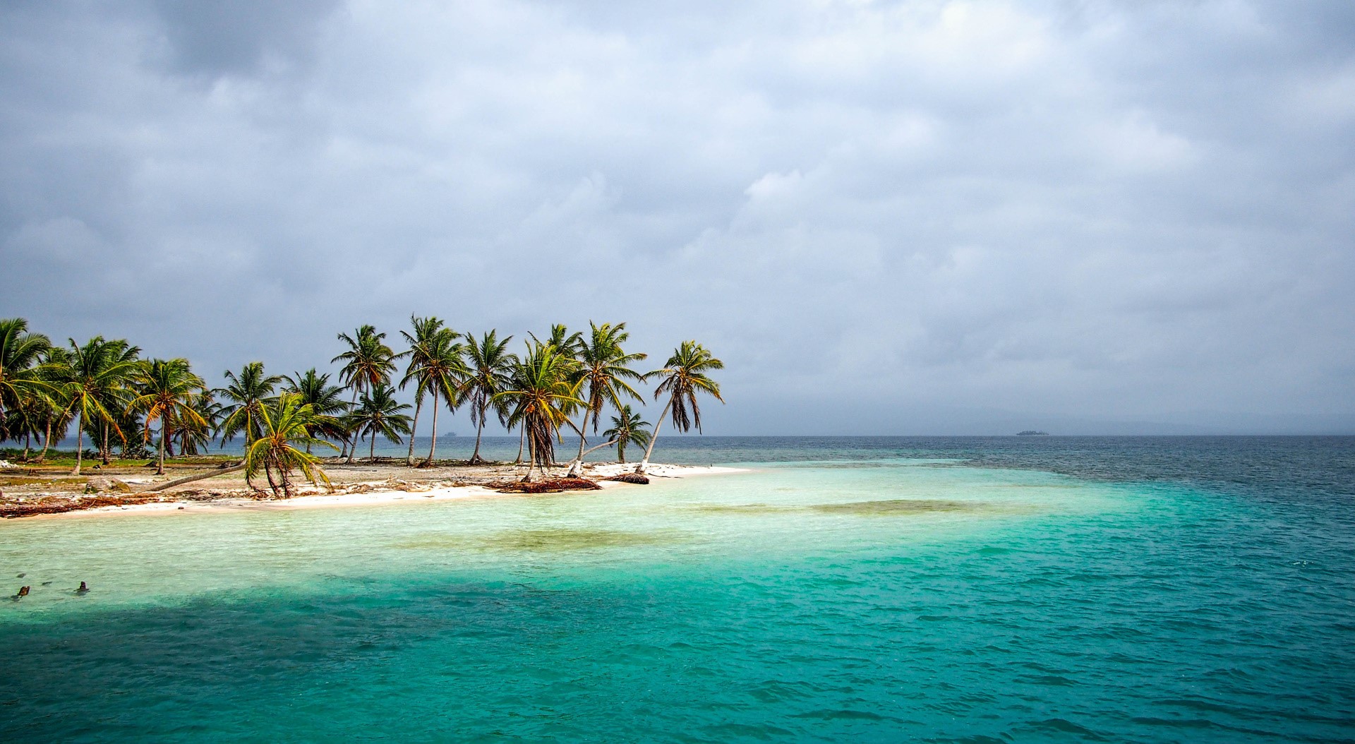 Tropical island with palm trees and turquoise sea under overcast sky HD Wallpaper