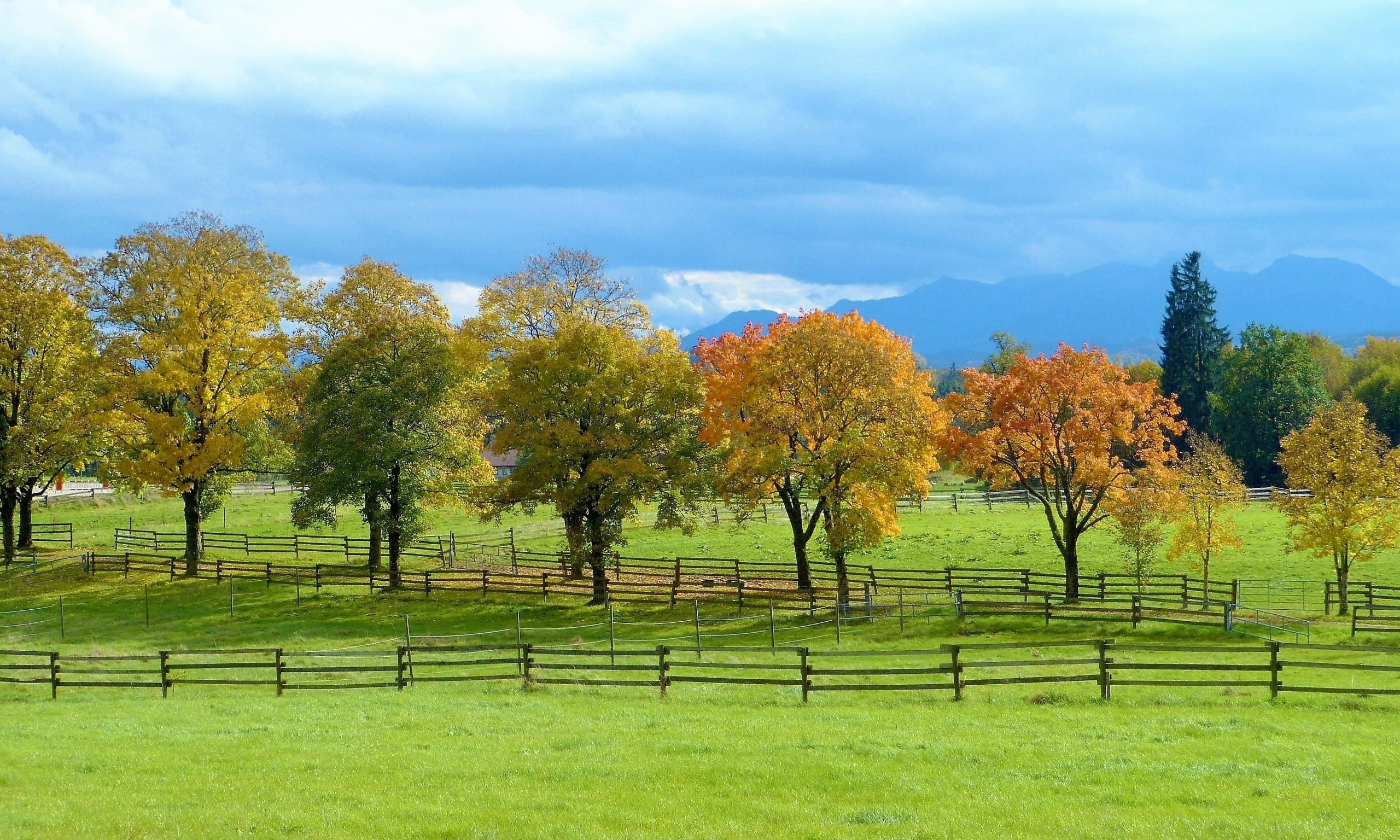 Autumn trees in a green field with fences and mountains HD Wallpaper