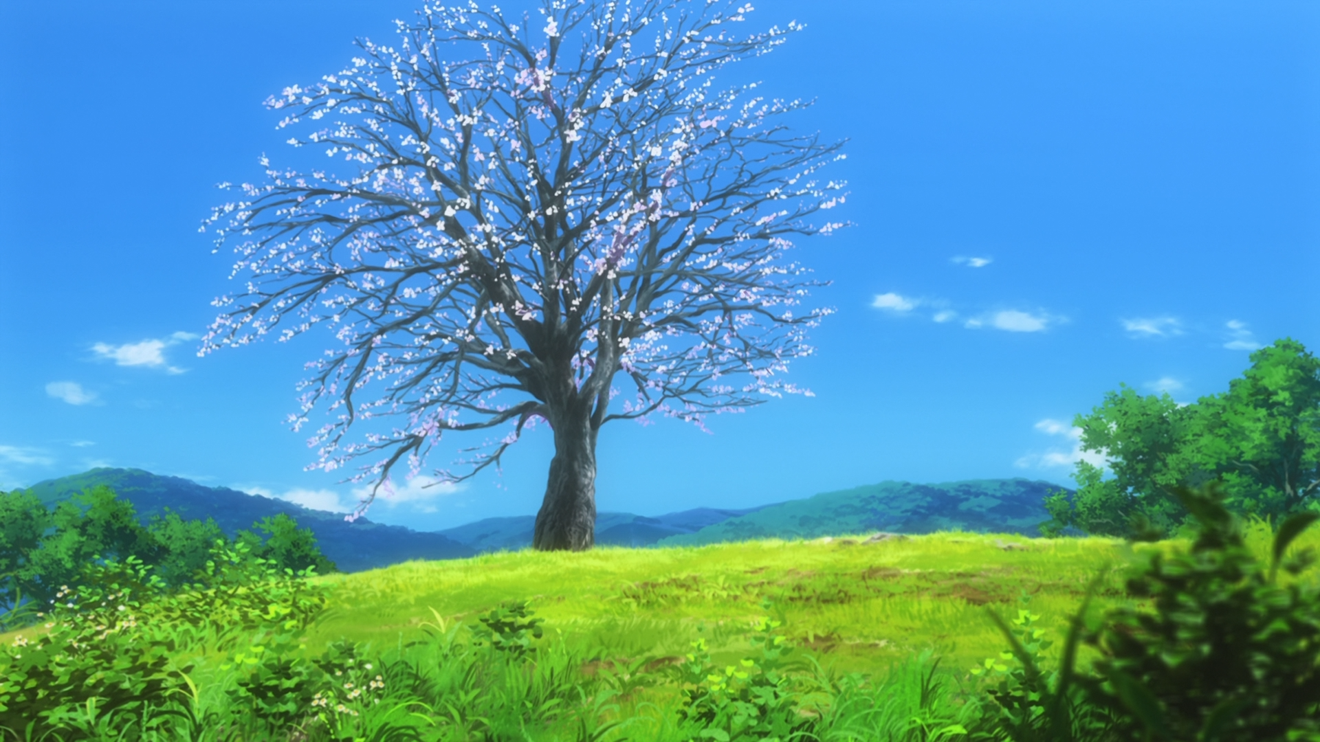 Landscape with a blooming tree and rolling hills HD Wallpaper