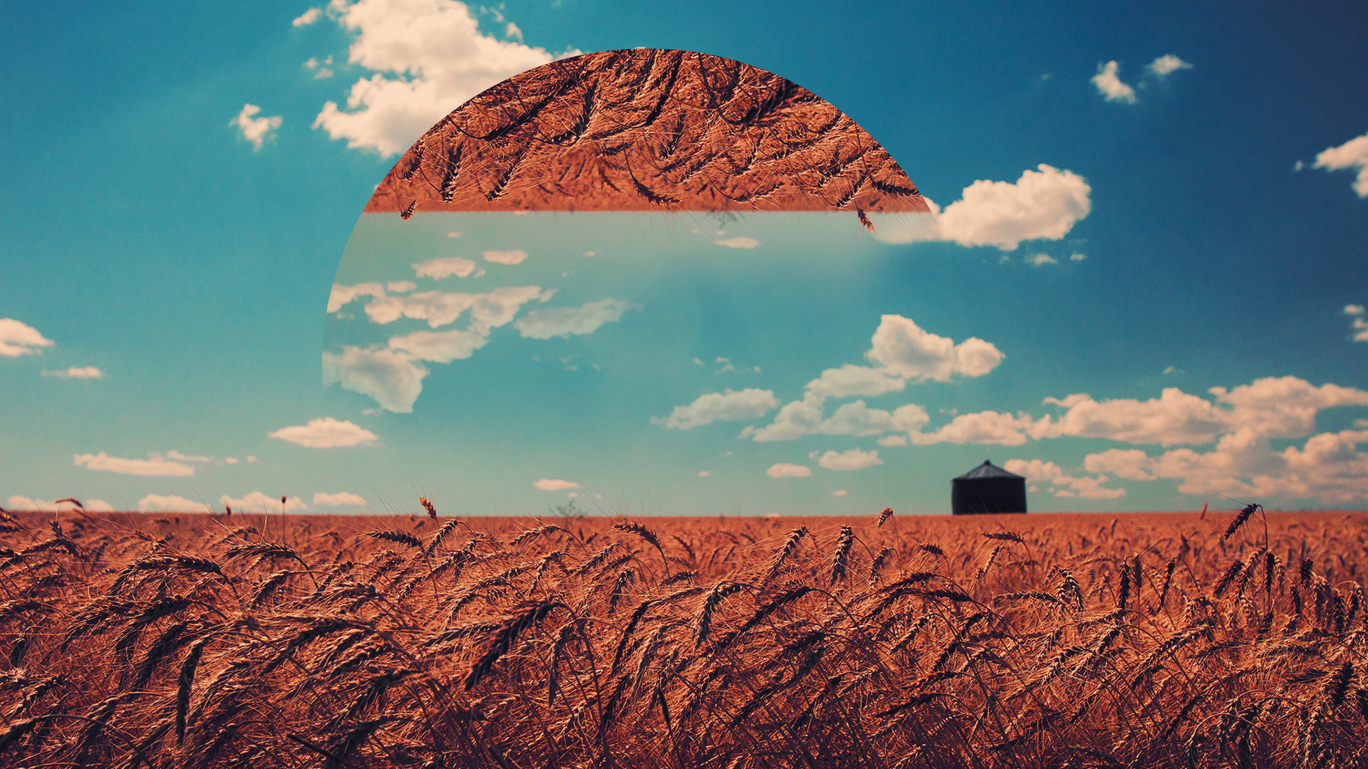 Wheat field under a blue sky with a silo HD Wallpaper