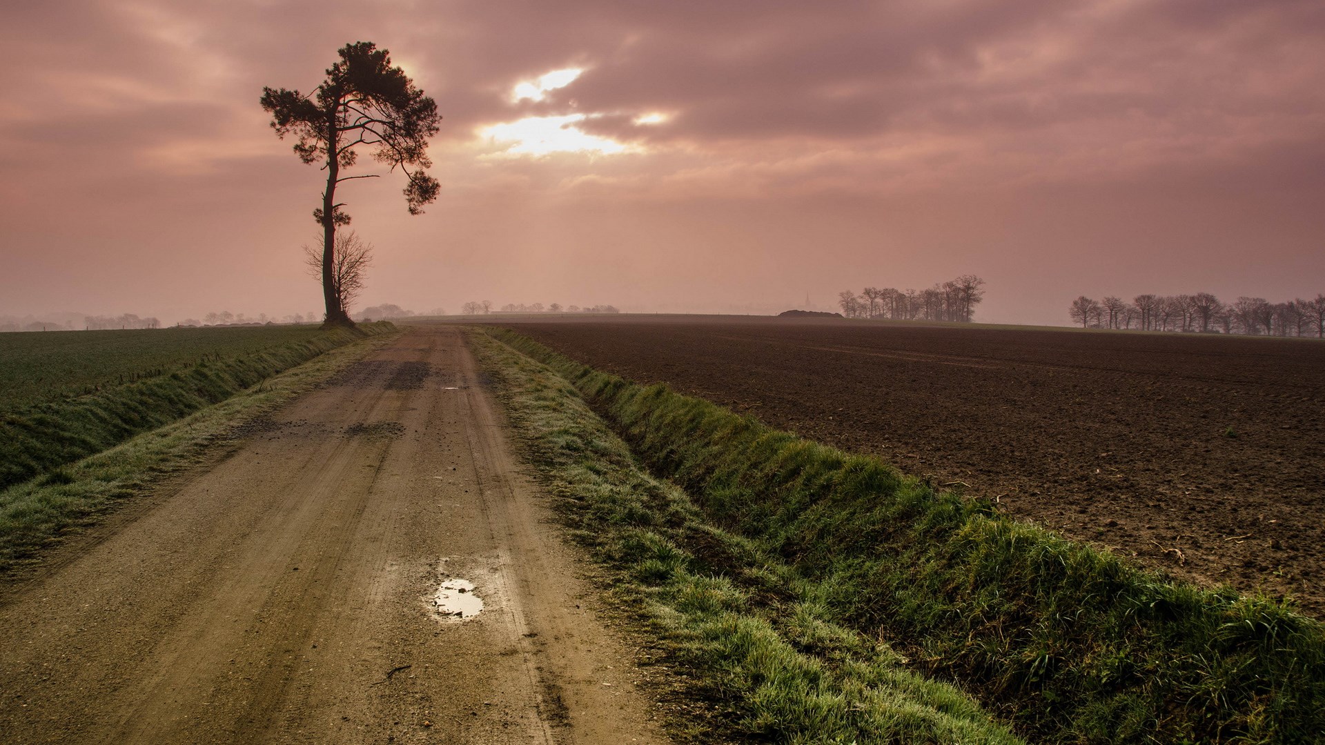 Dirt road through fields under a cloudy sky HD Wallpaper