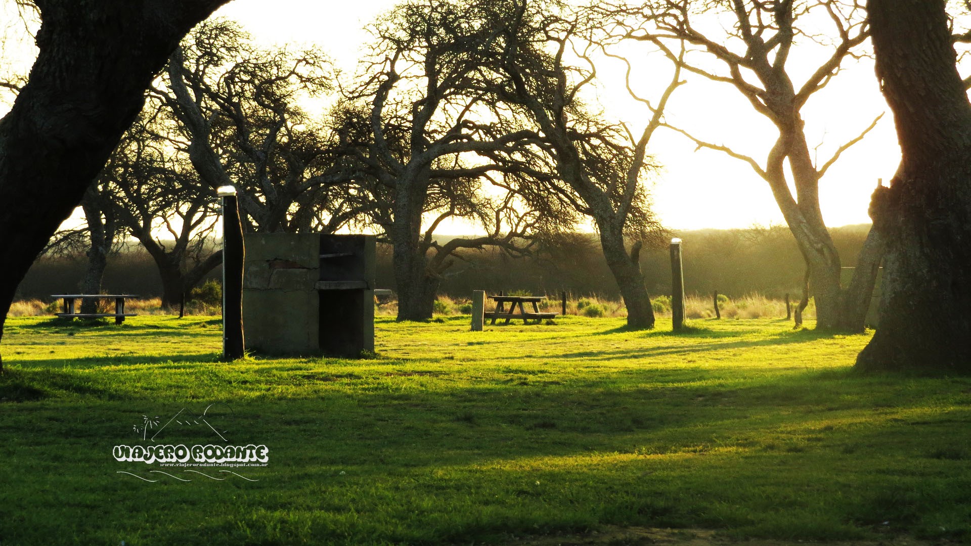 Picnic area with trees and sunlight HD Wallpaper