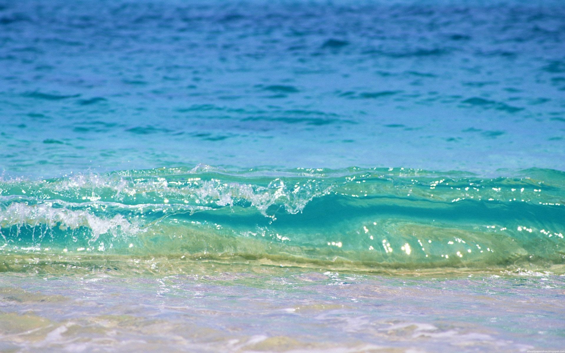 Ocean wave breaking on a sandy beach HD Wallpaper