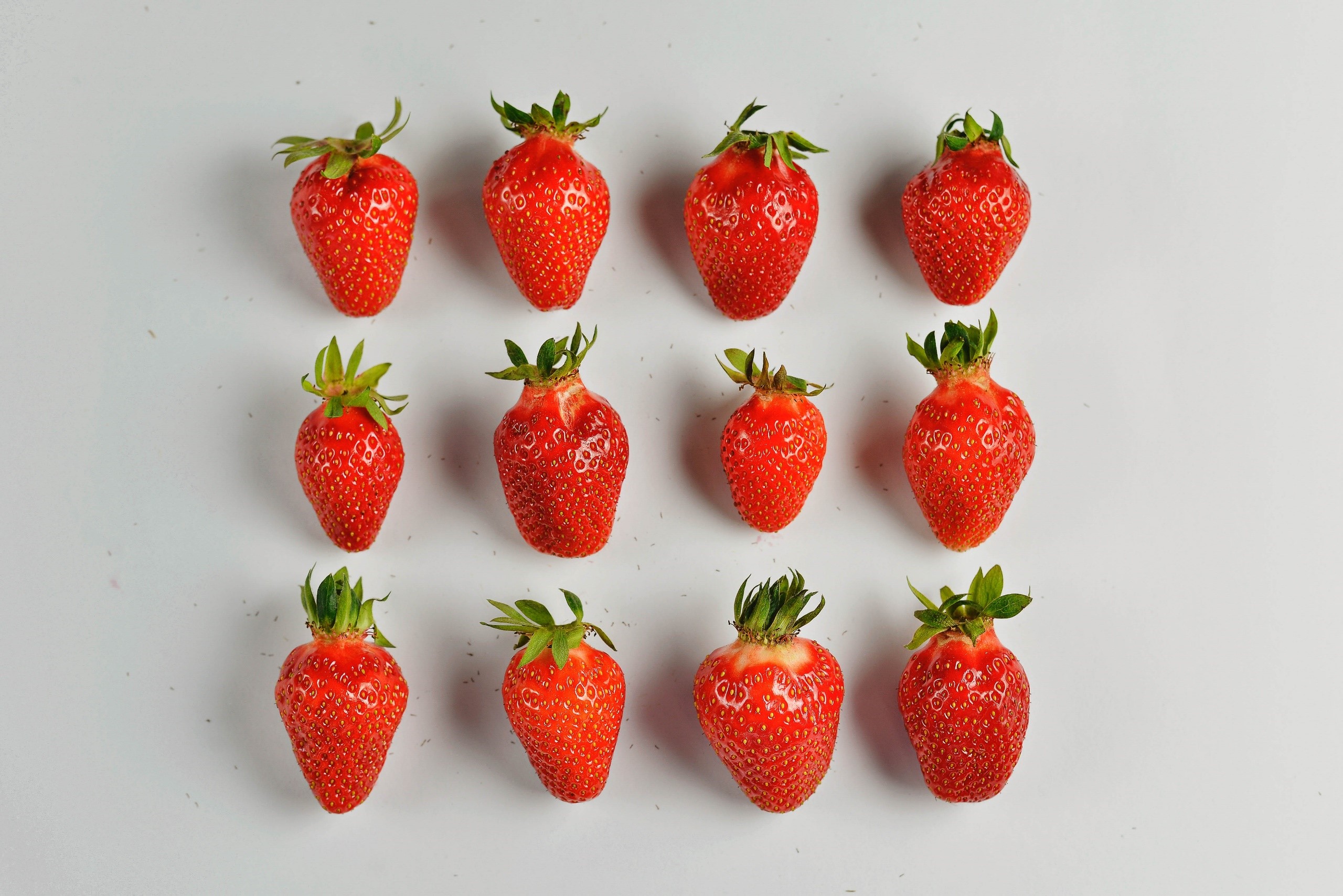 Twelve strawberries arranged in rows on a white surface HD Wallpaper