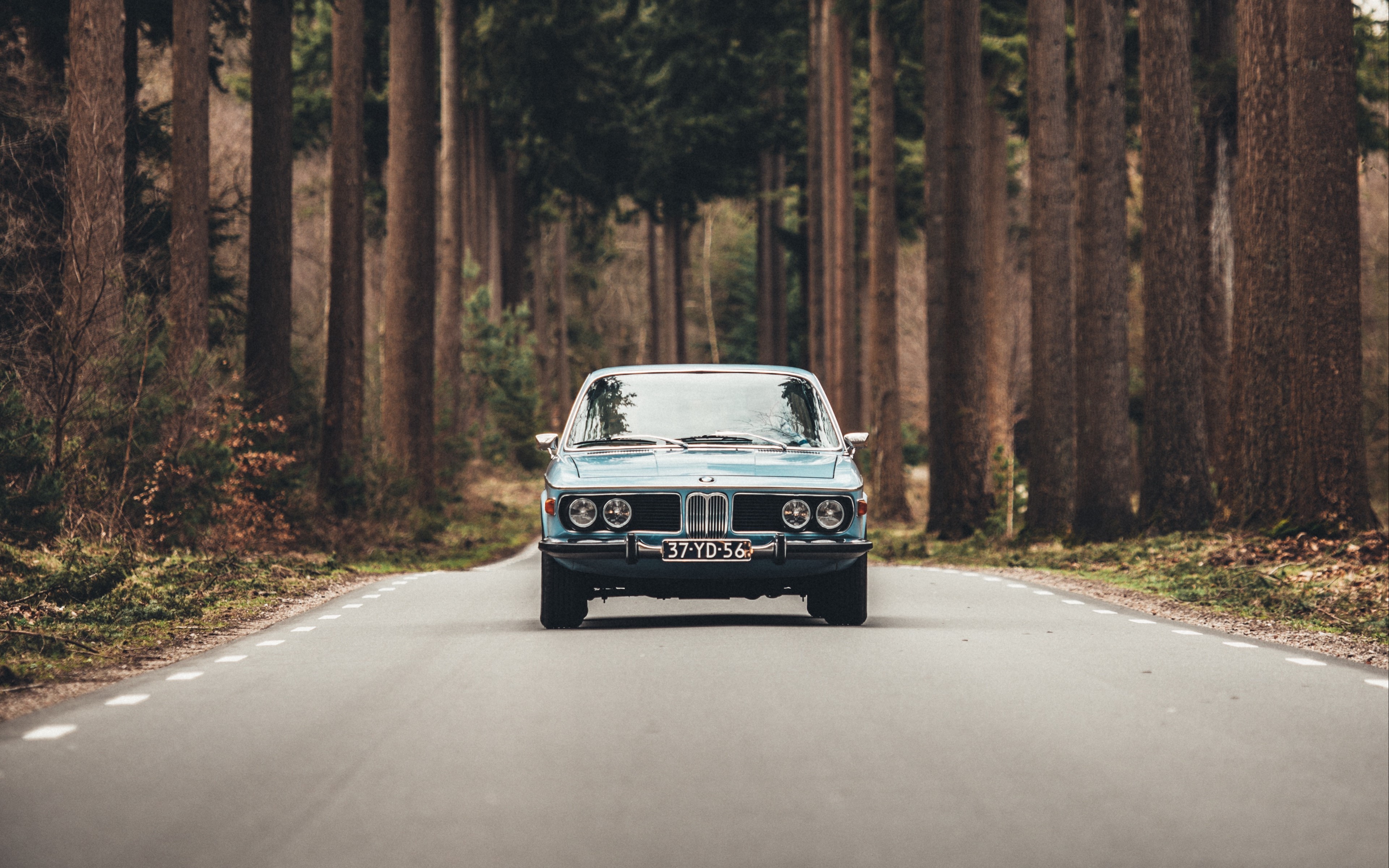 4K BMW E9 on a forest road HD Wallpaper