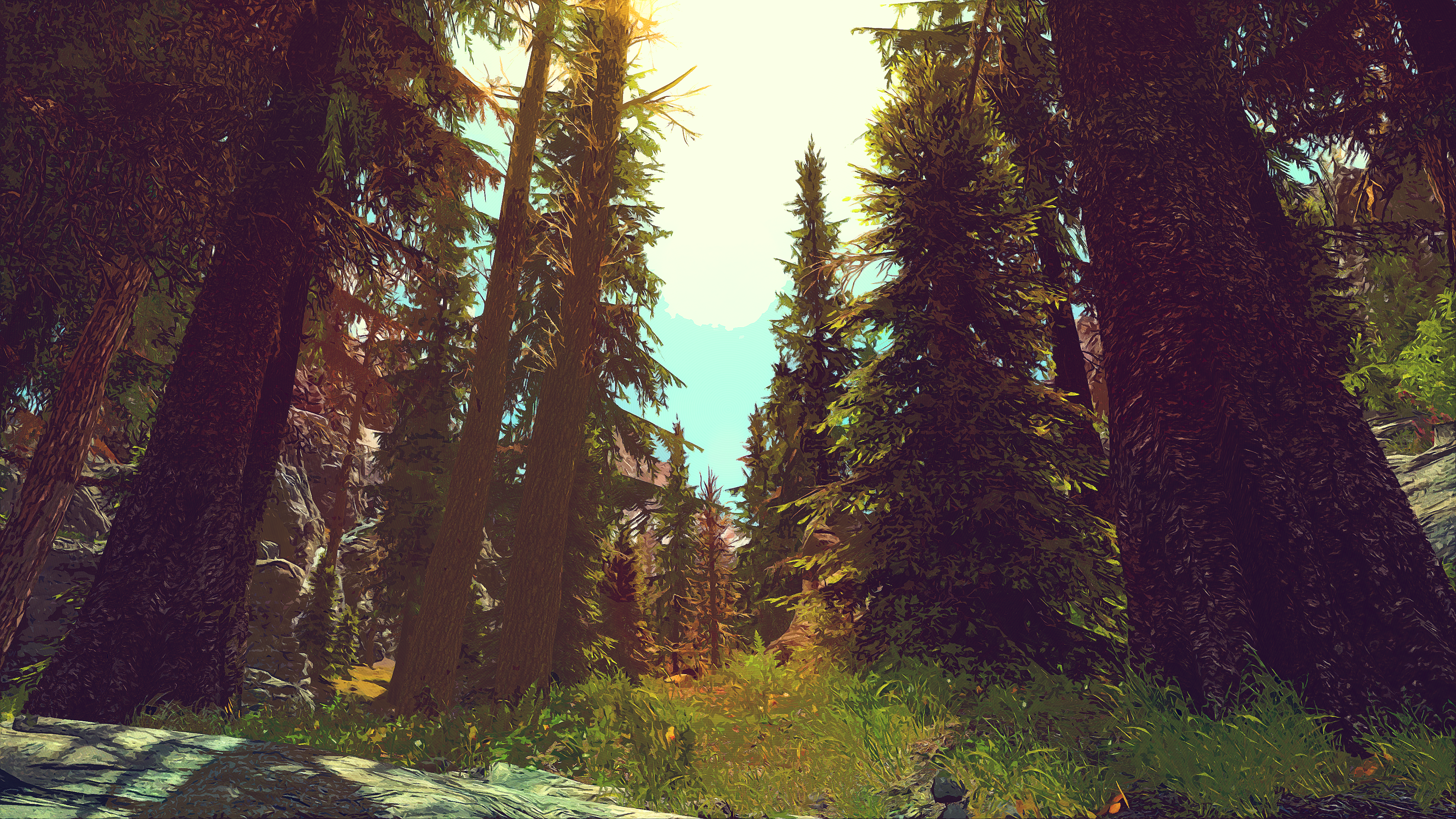 The Elder Scrolls V: Skyrim forest scene HD Wallpaper