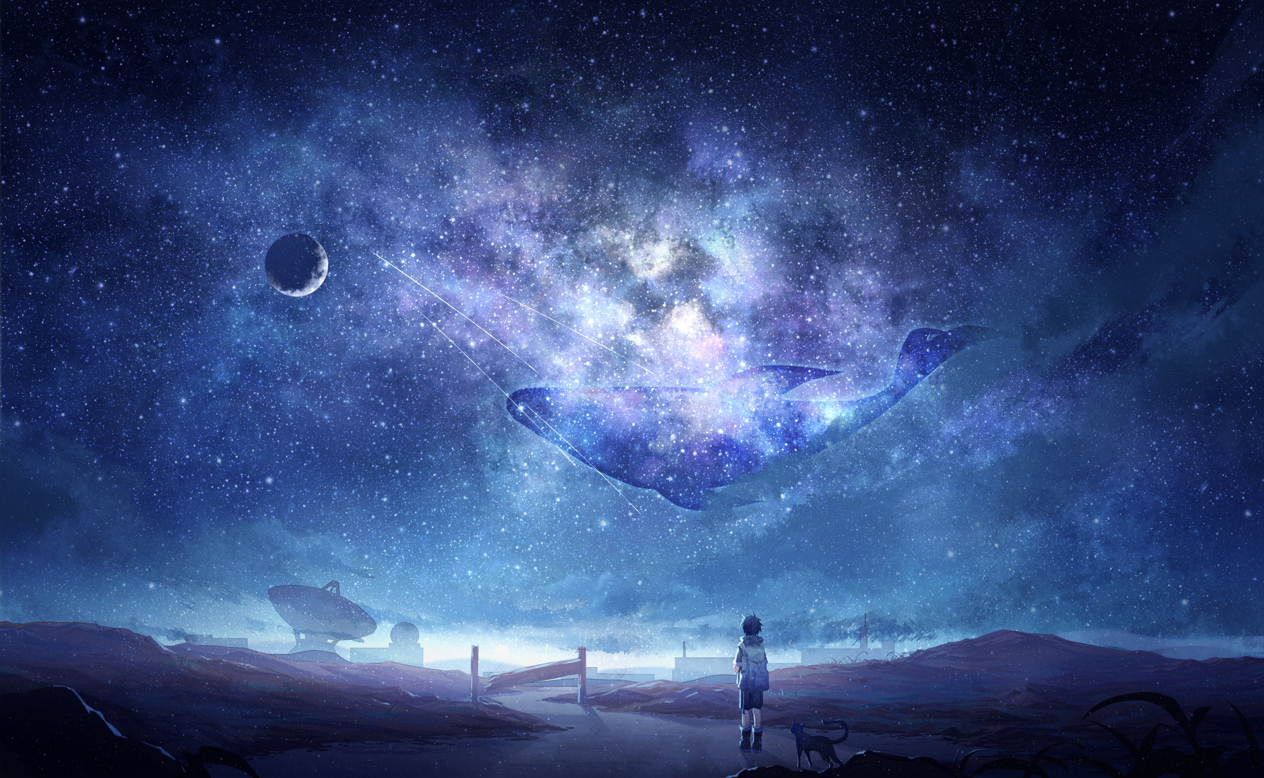 Anime boy and cat under a starry sky with a whale constellation HD Wallpaper