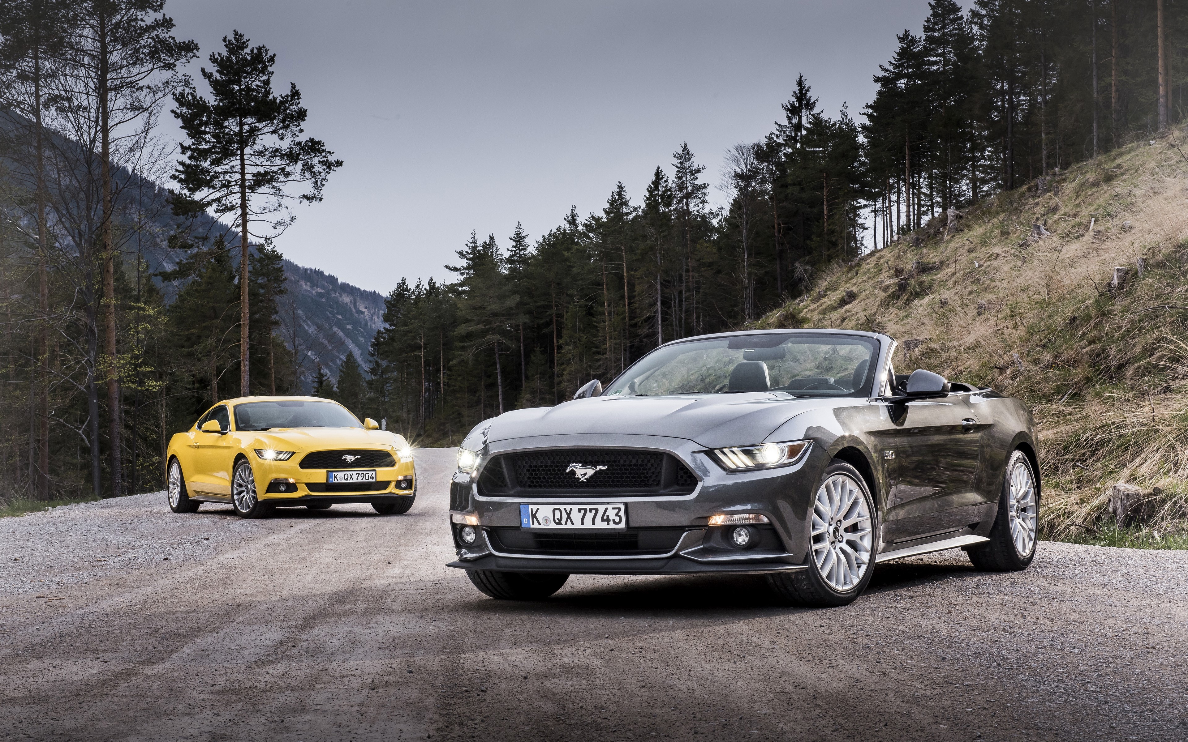 4K Ford Mustang Cabriolet cars on a mountain road HD Wallpaper