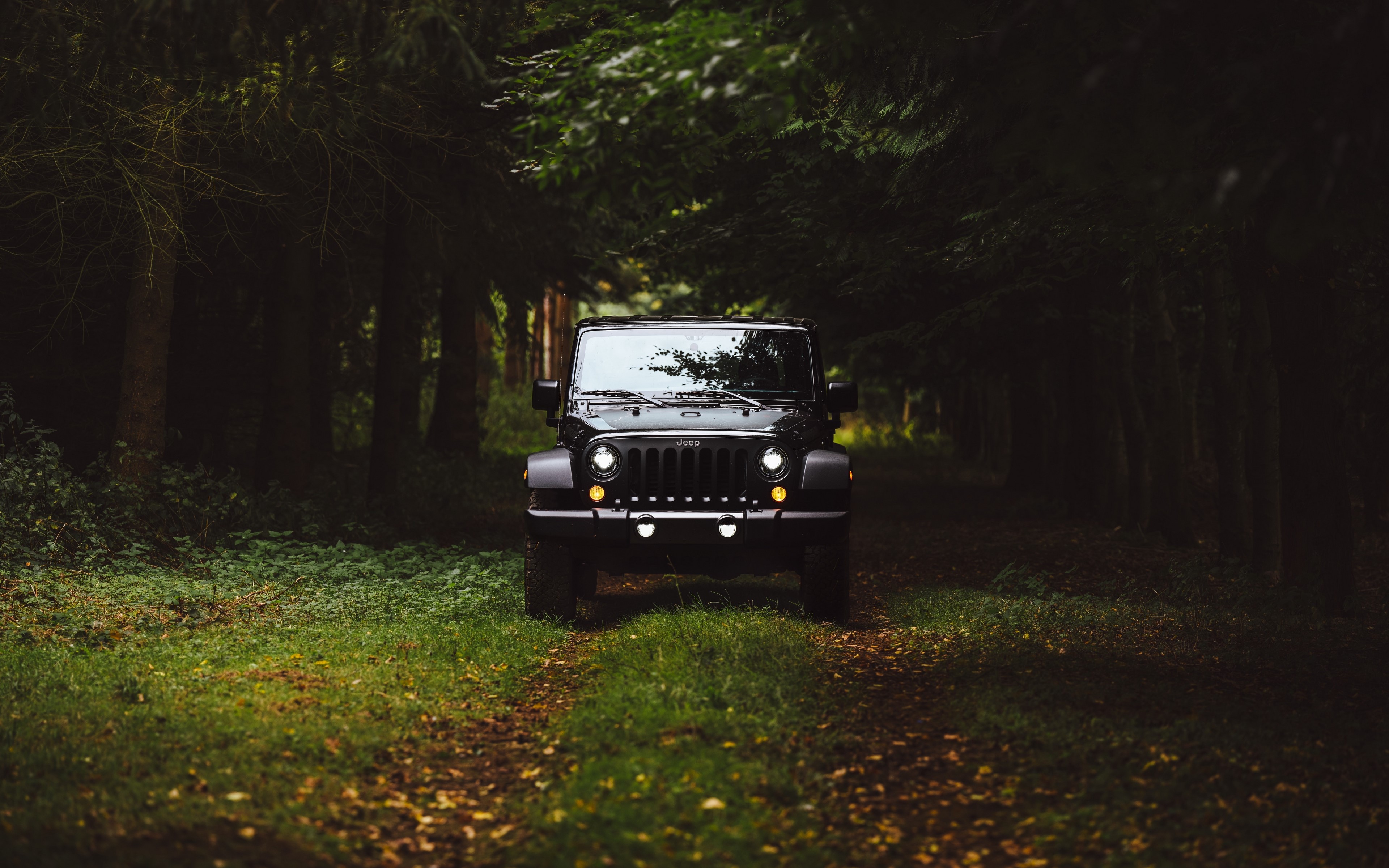 Black Jeep Wrangler in a Forest HD Wallpaper